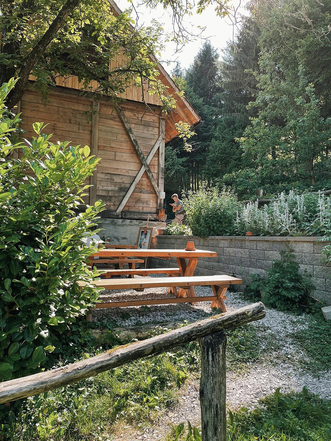 Photo 56