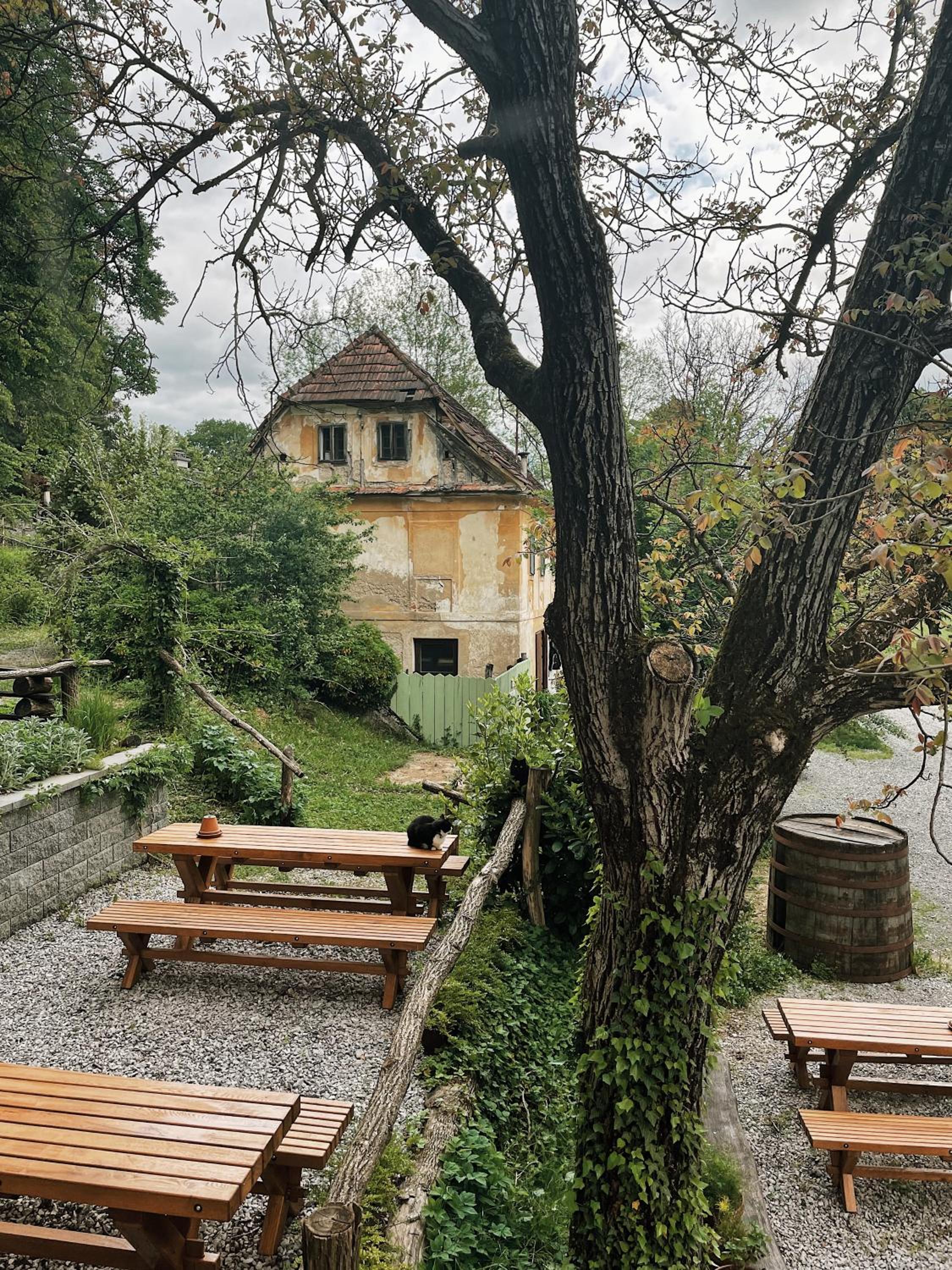 Photo 19