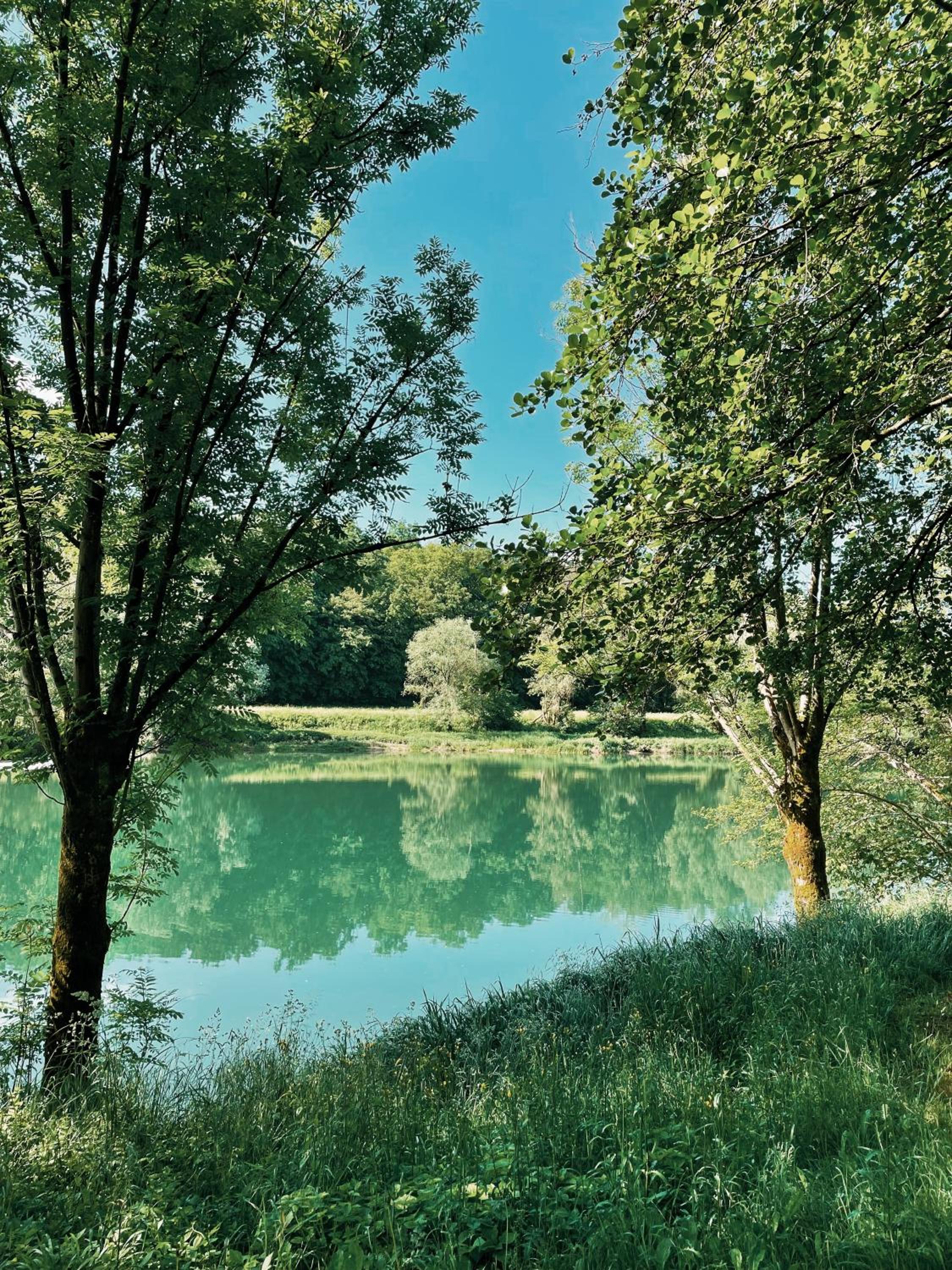 Photo 43