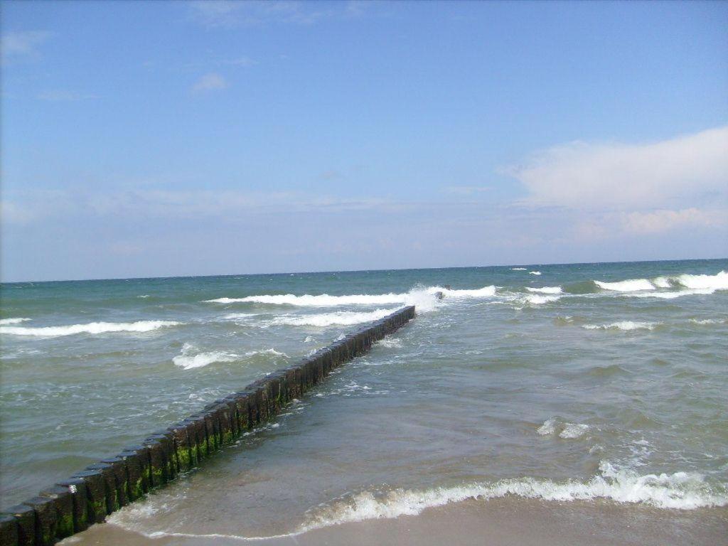 Wellenkieker-Graal-Mueritz