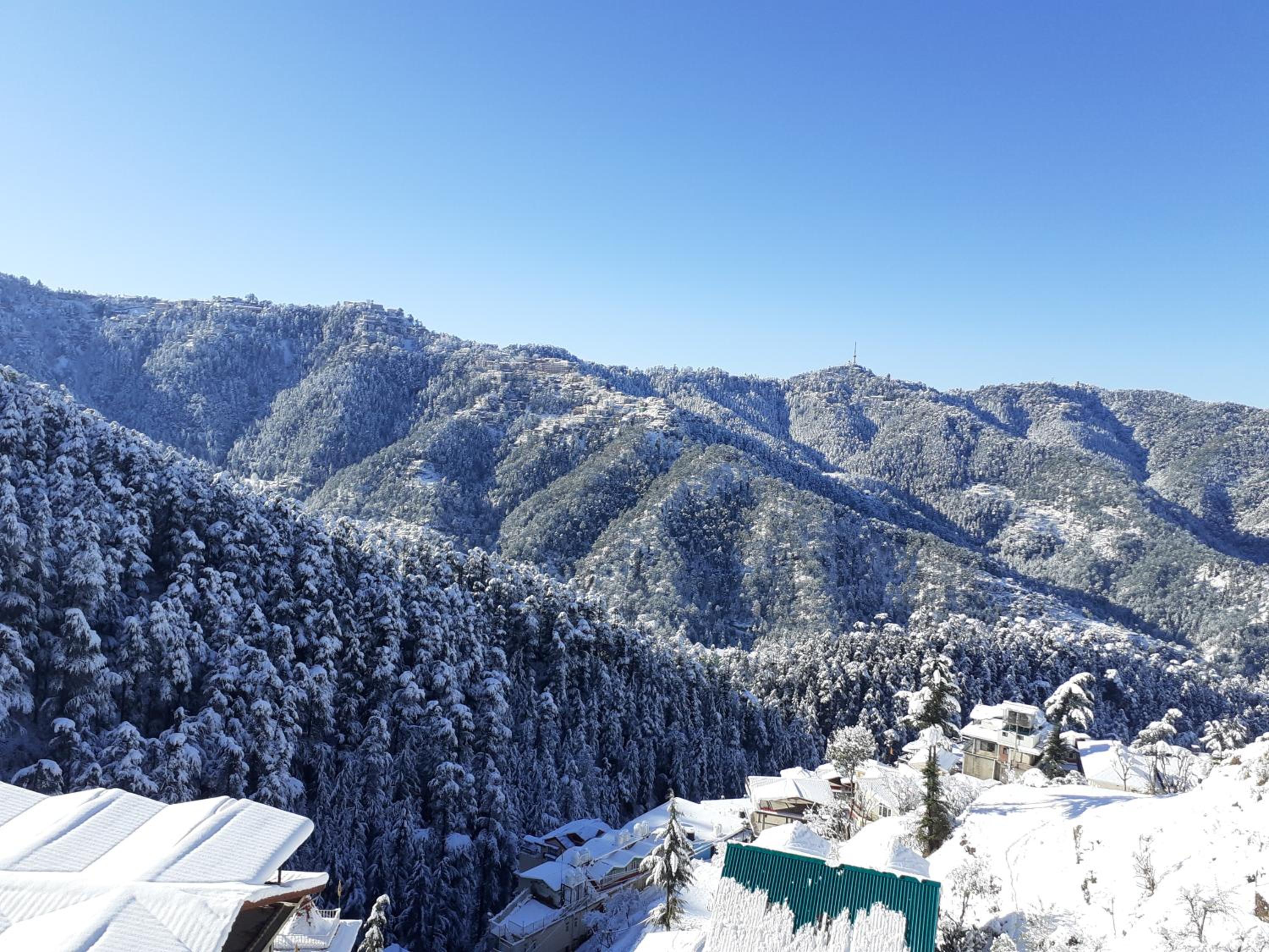 Anand Niketan Homestay Shimla