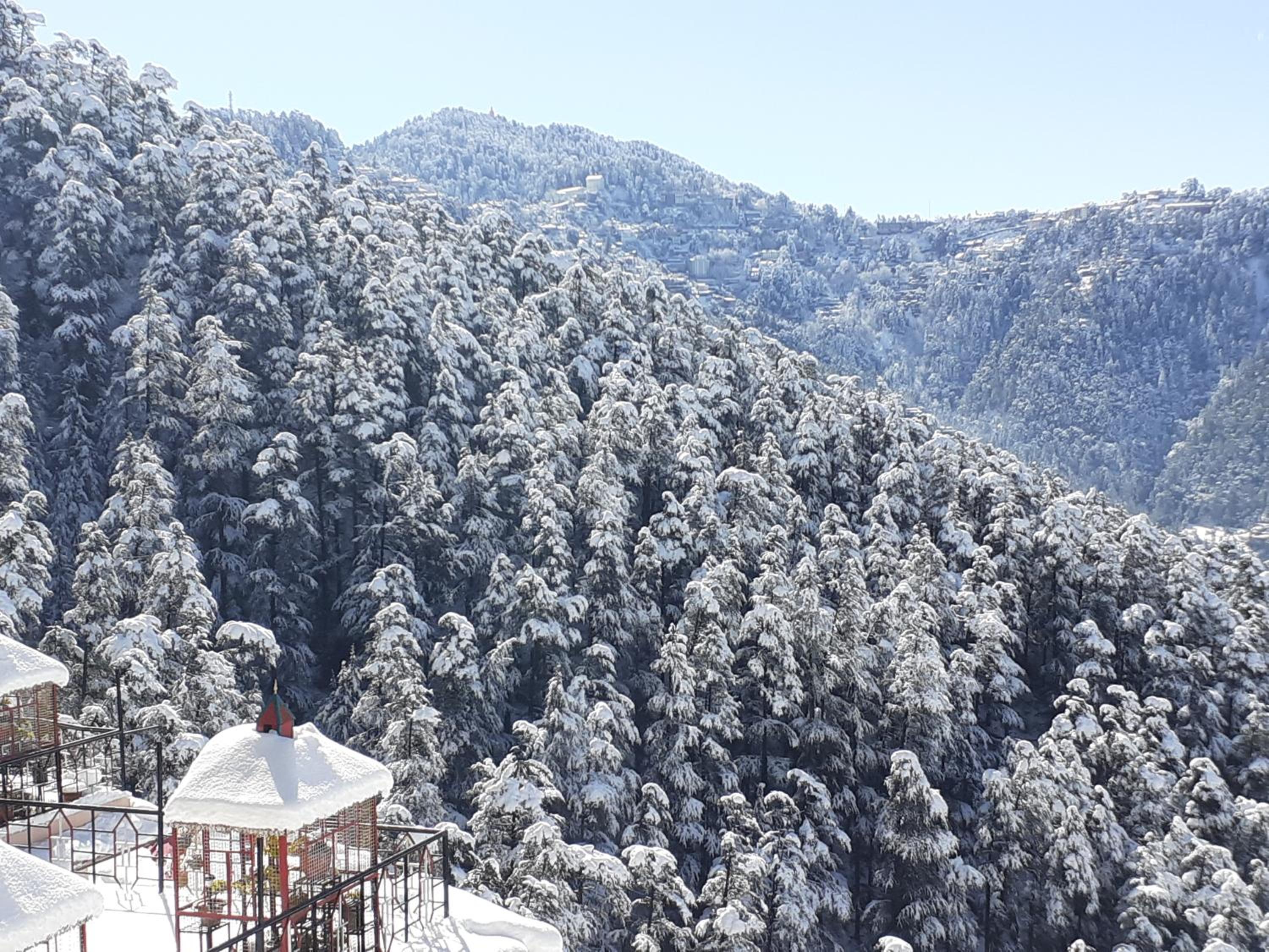 Anand Niketan Homestay Shimla