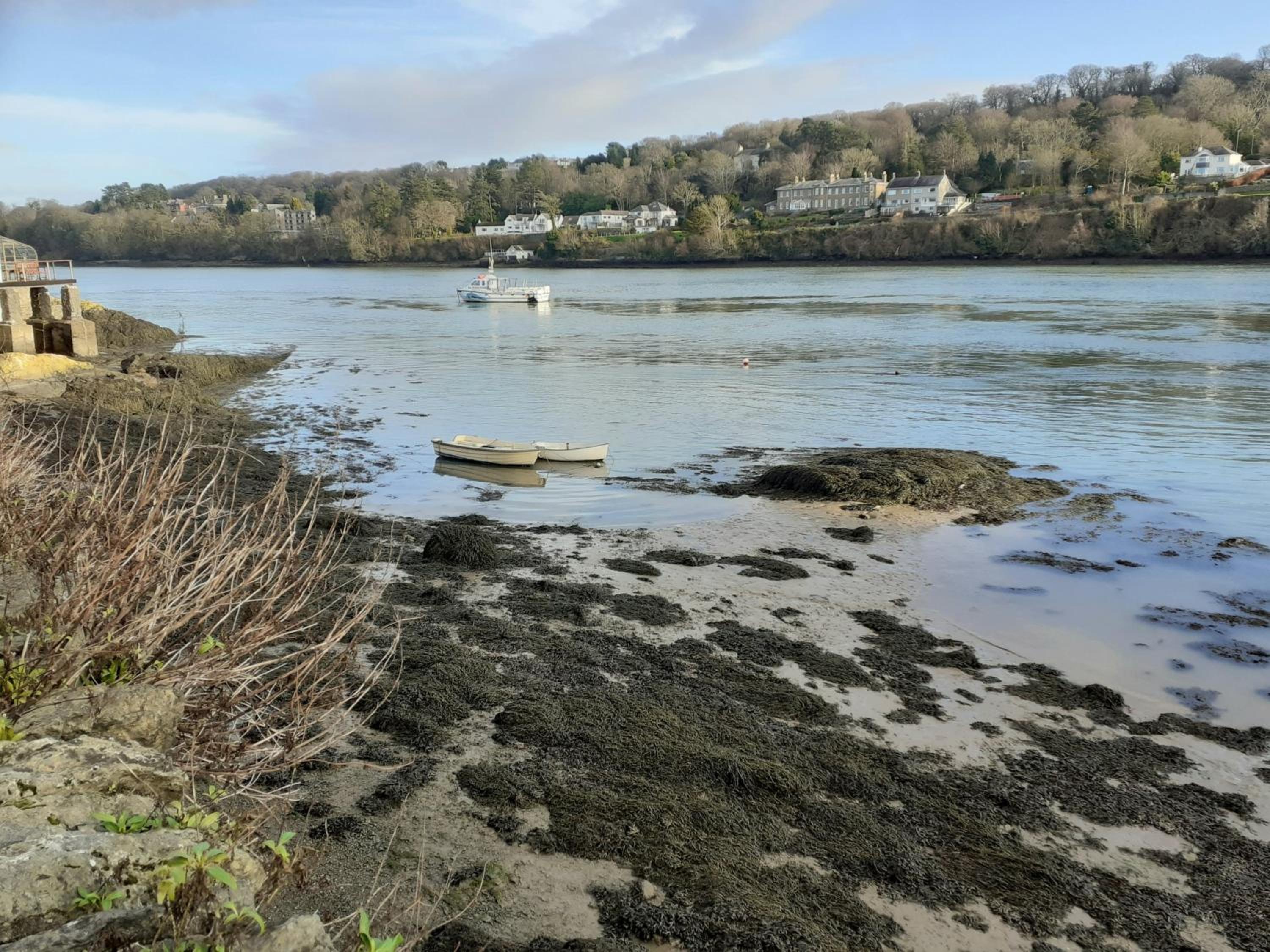 Gwenallt