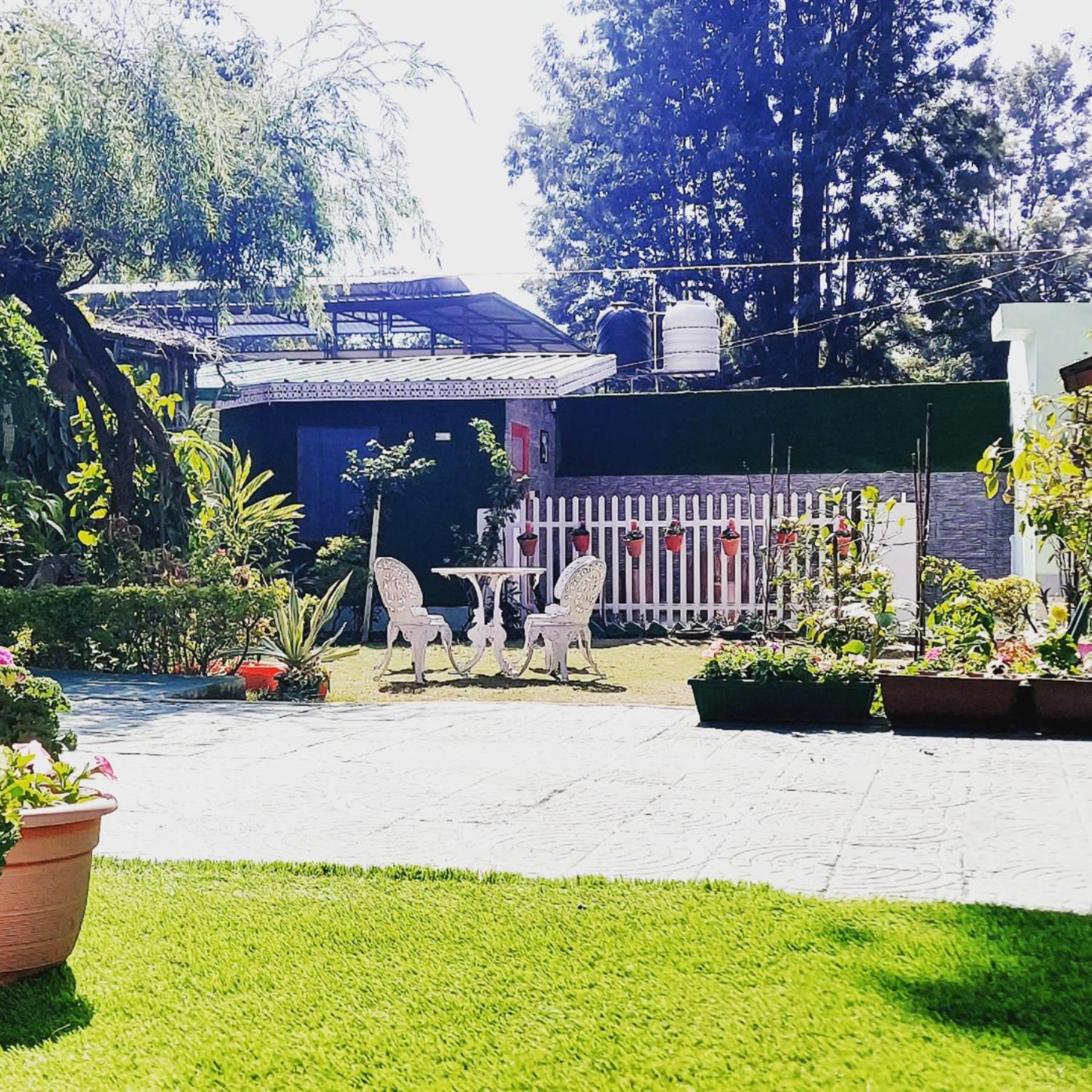 Olive Greens Homestay view 3