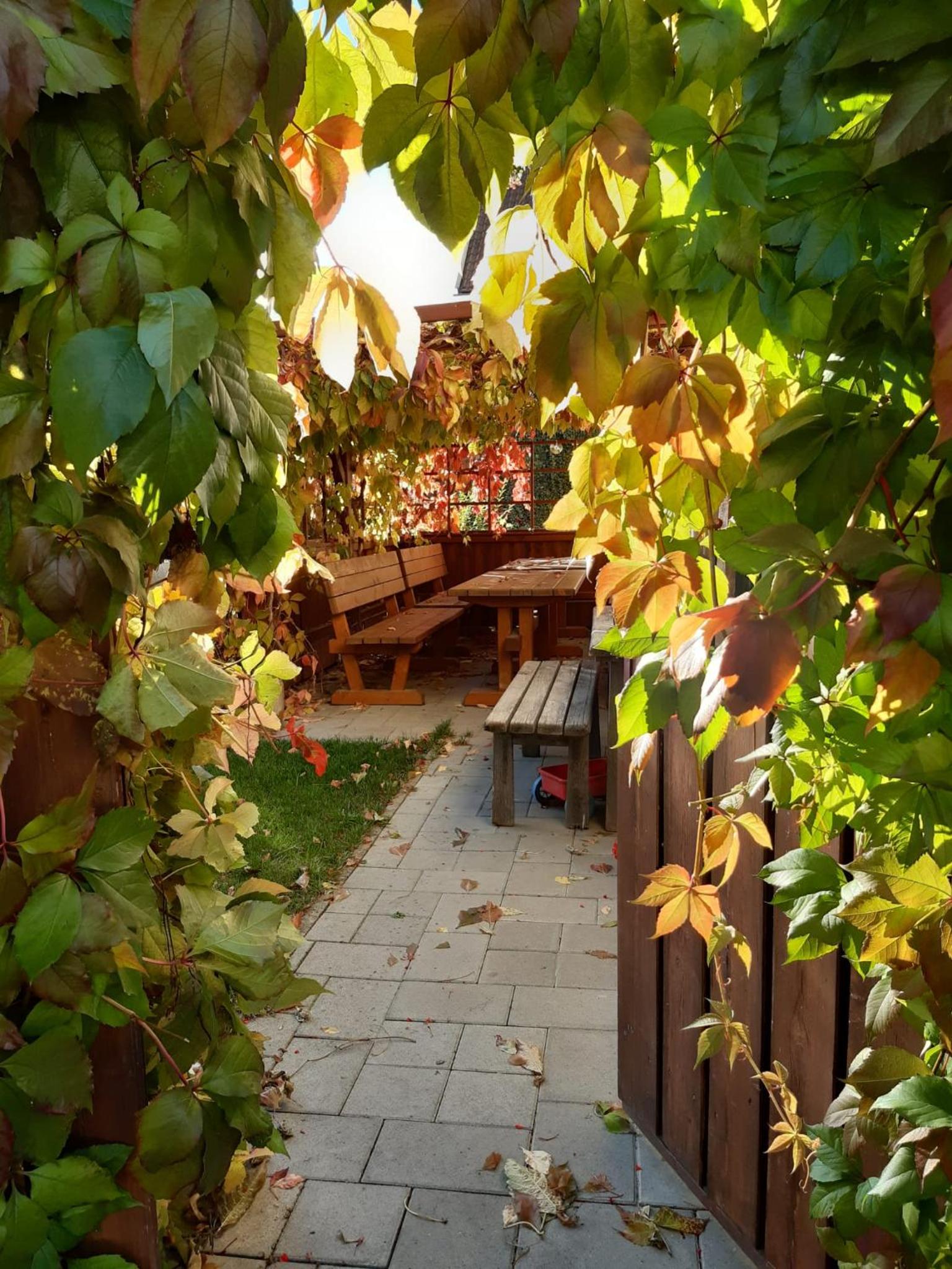 Photo 40