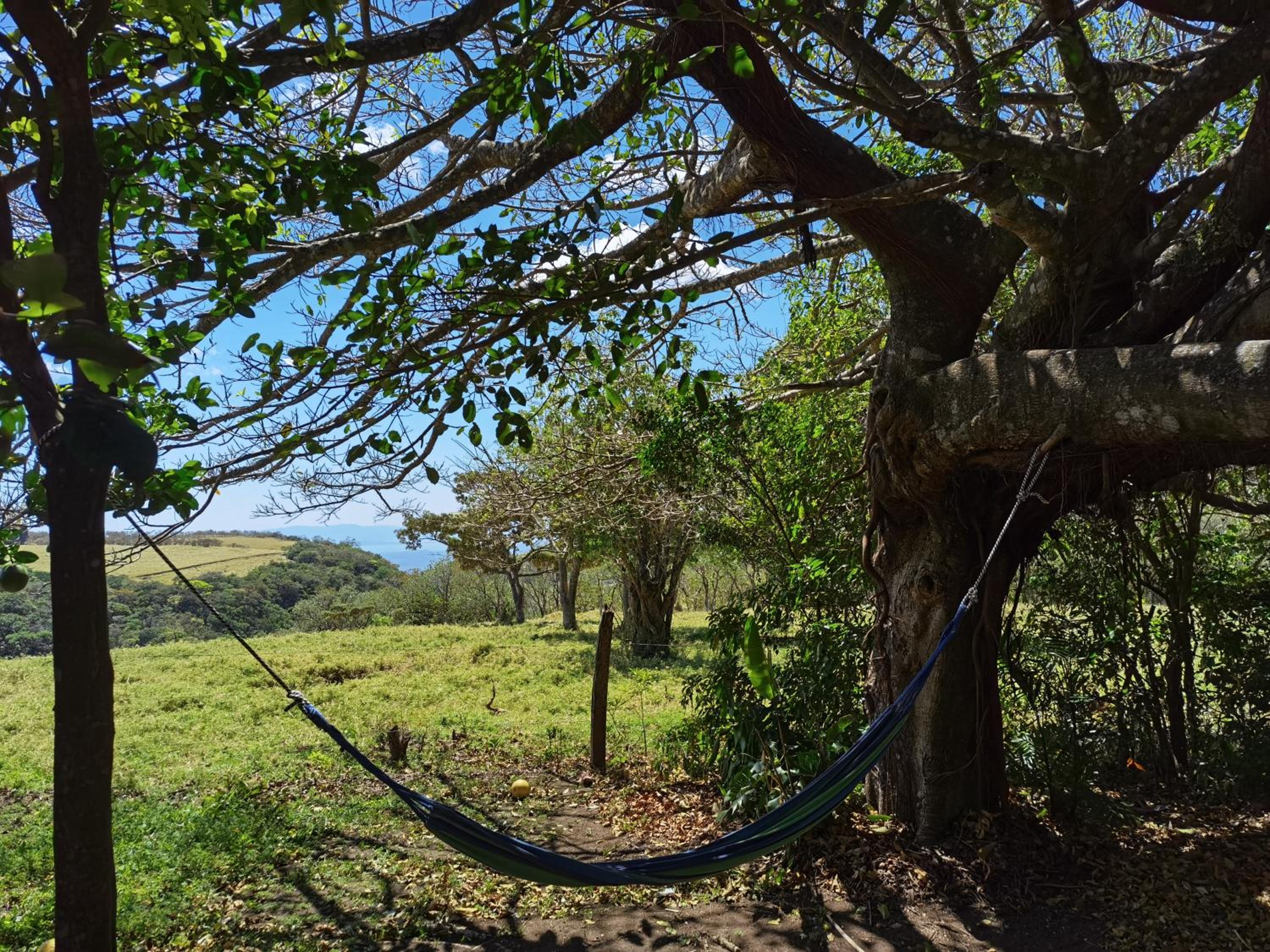 Campo Azul - Monteverde