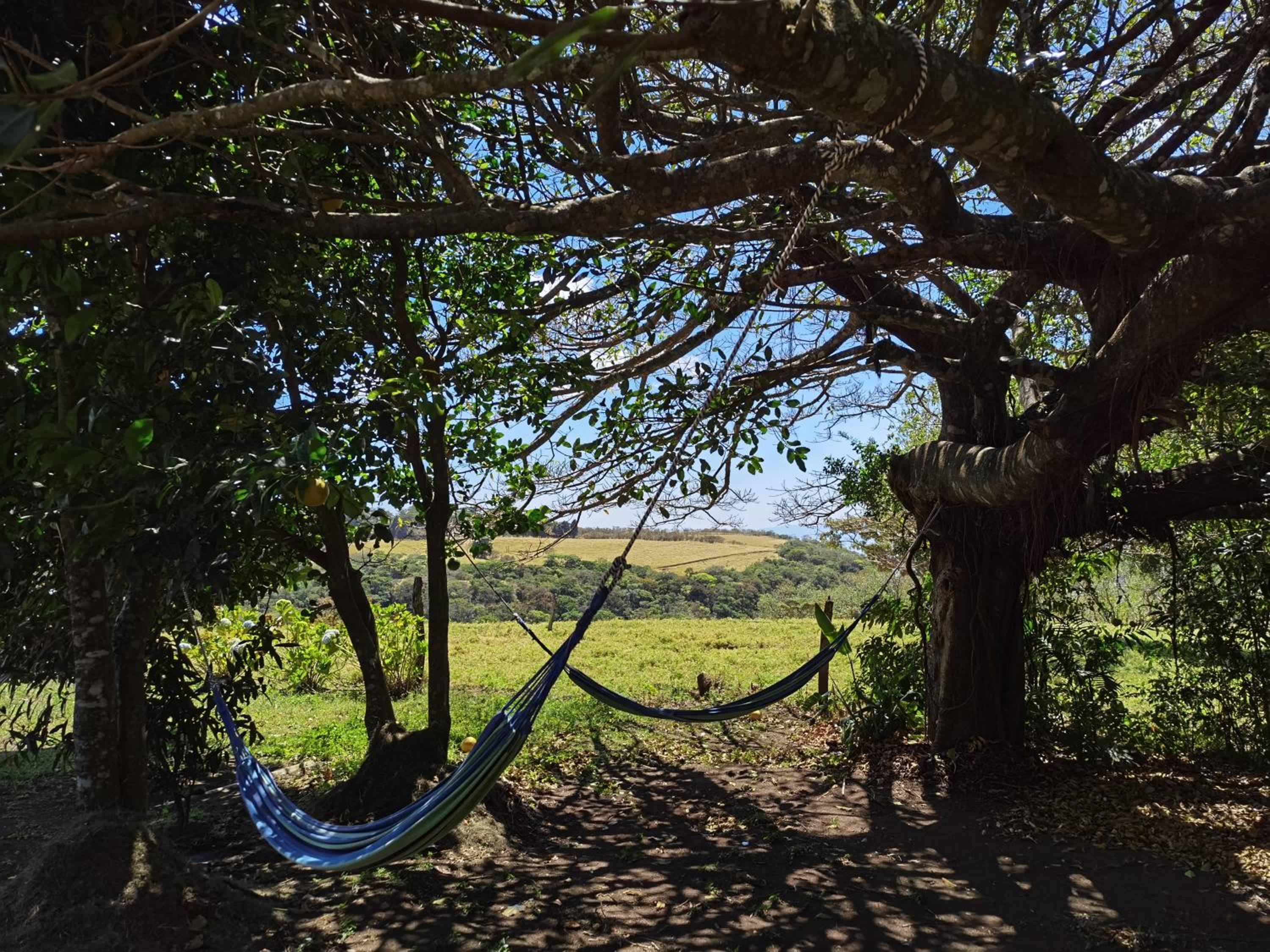Campo Azul - Monteverde