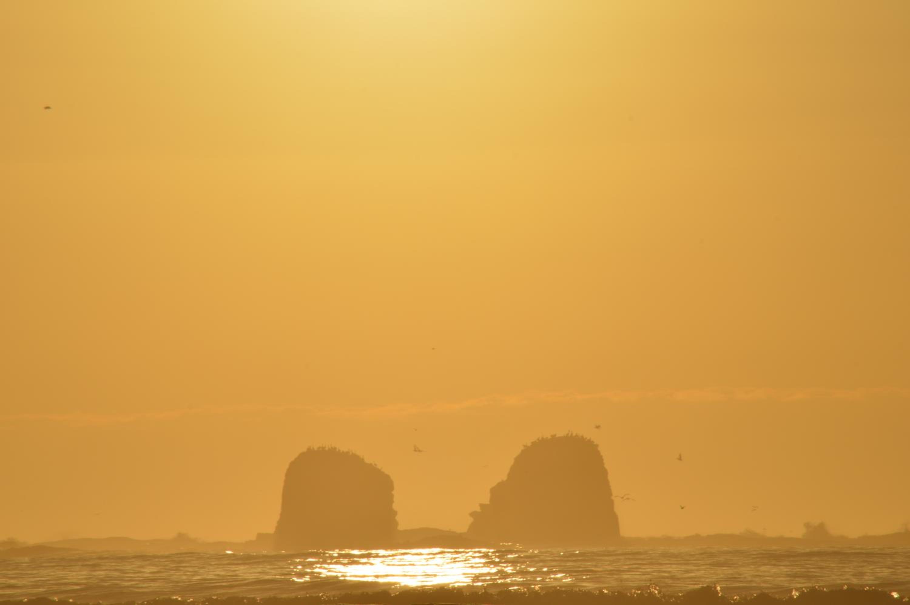 Esfera Pichilemu - Lodge