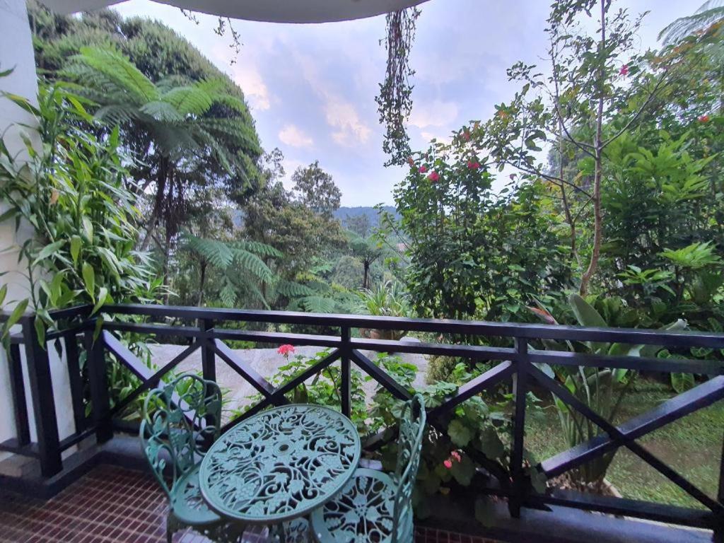 Gerard's Place Nature Haven Apartment photo 6