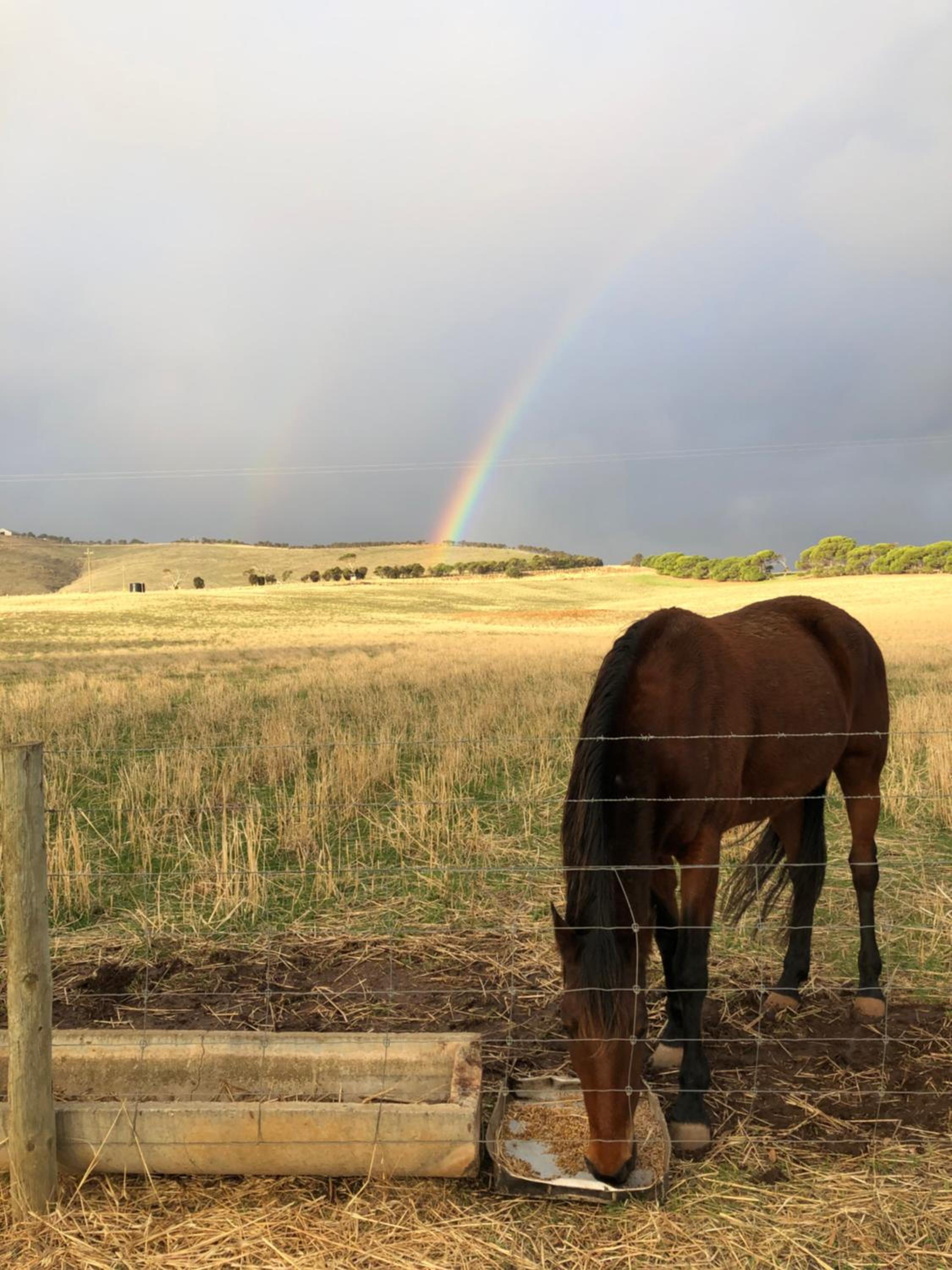 BIG4 Cape Jervis Accommodation & Caravan Park