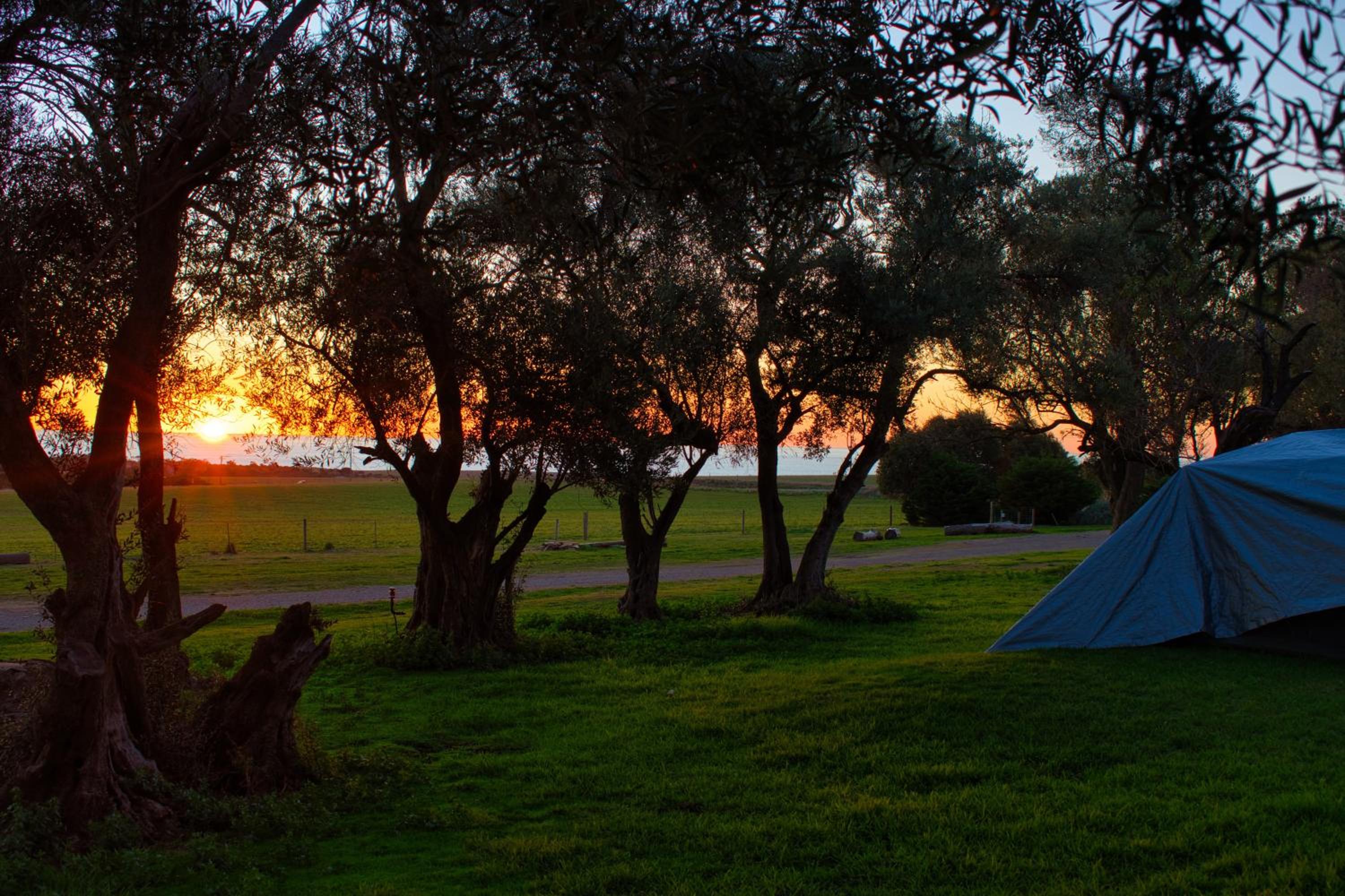 BIG4 Cape Jervis Accommodation & Caravan Park