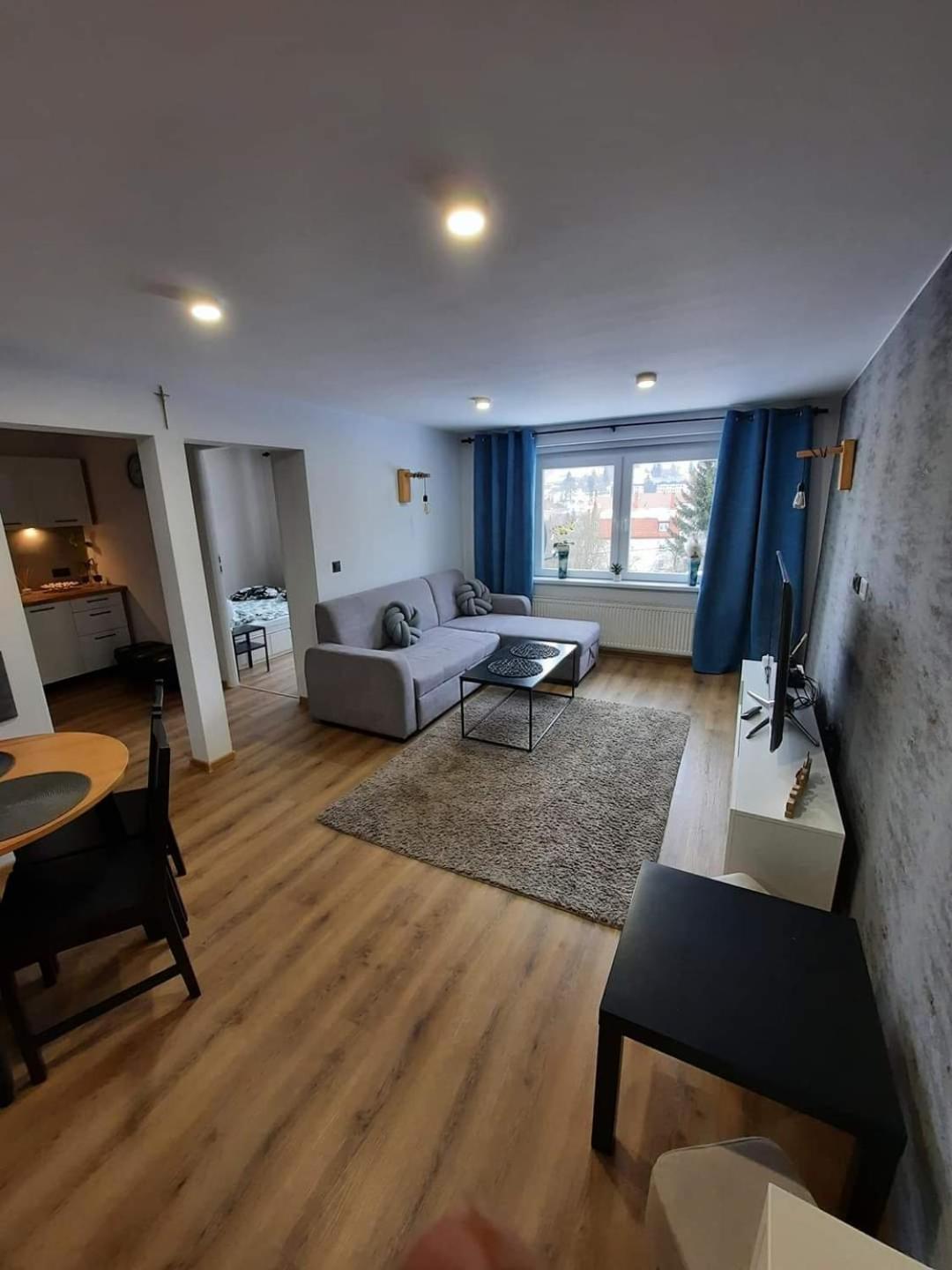 Orlicka Apartament view 5