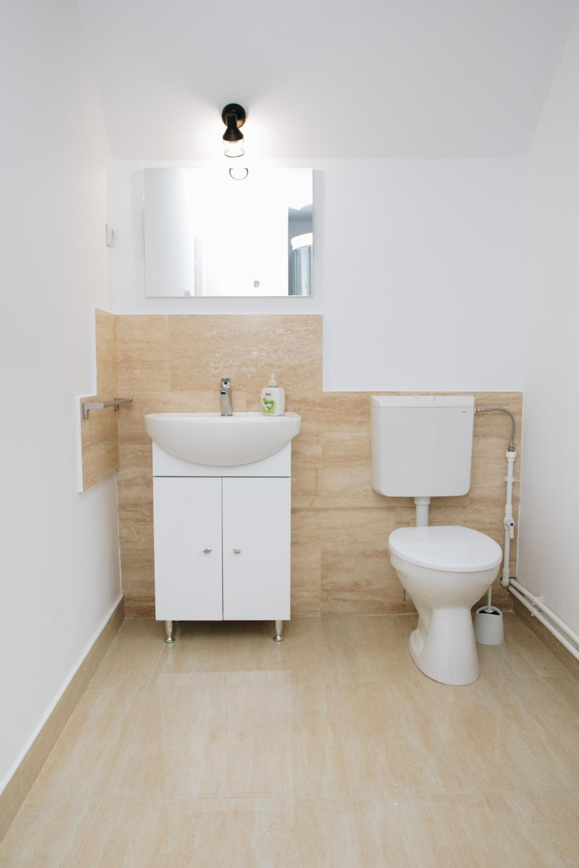 Casa dintre Brazi Hunedoara view 2