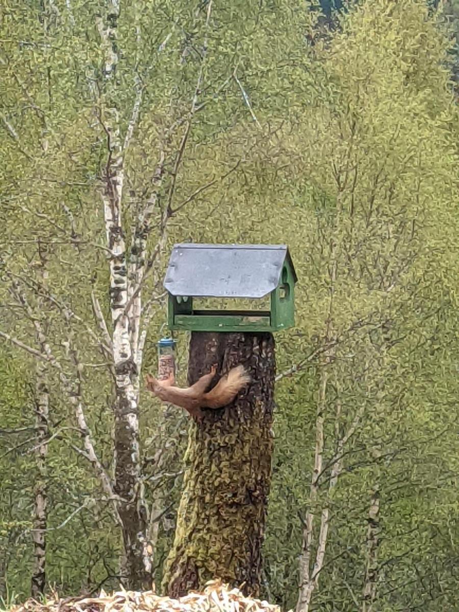 Hotel Faichemard Farm Chalets - Image 1