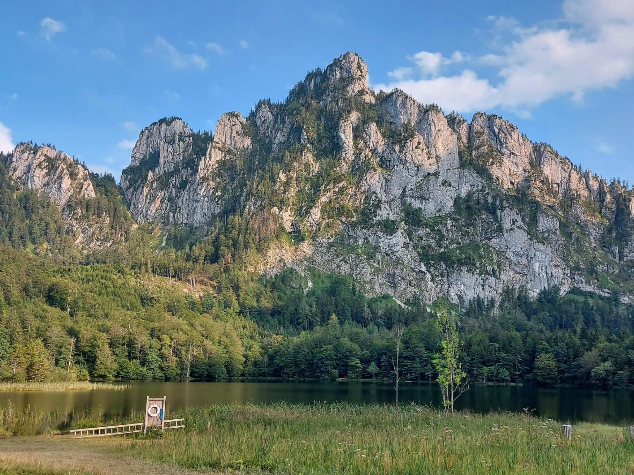 Traunsee Apartment Altmünster 2