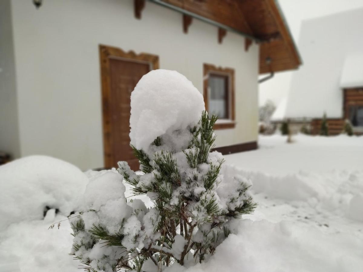 Na Szlaku - domki do wynajęcia view 2