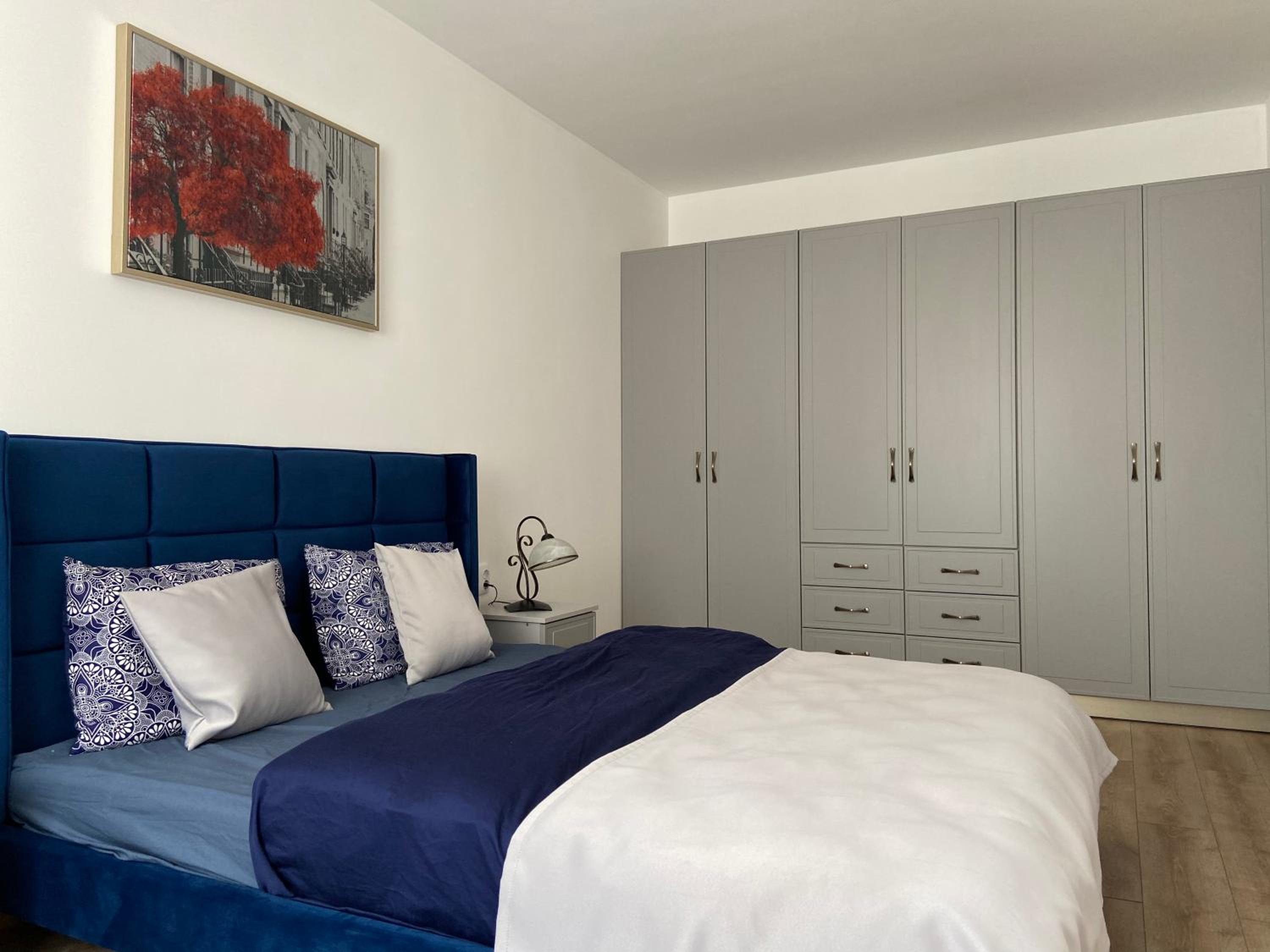 Napoca Apartament view 5