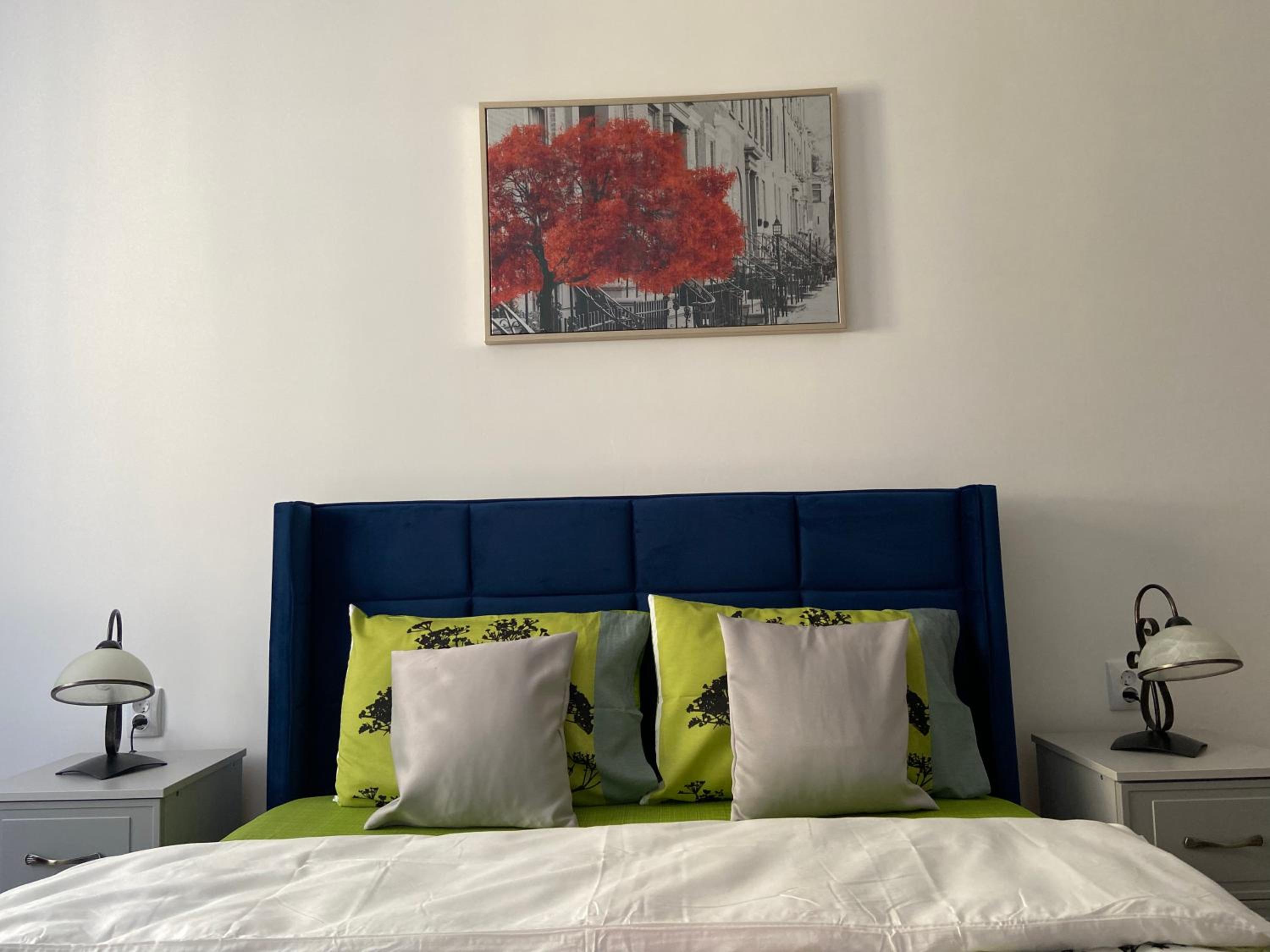 Napoca Apartament view 2