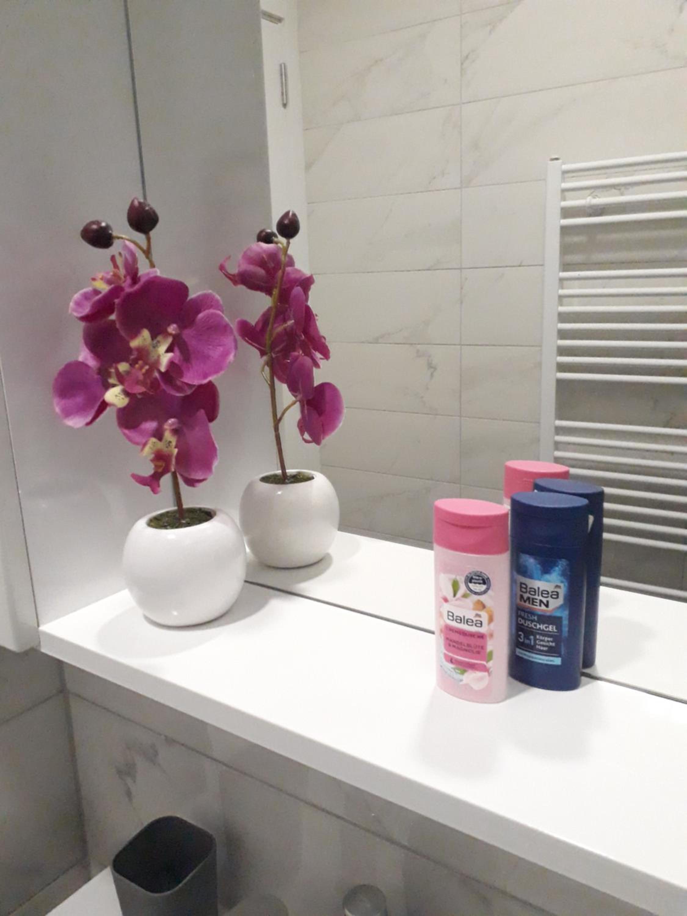 Studio apartman Promenada