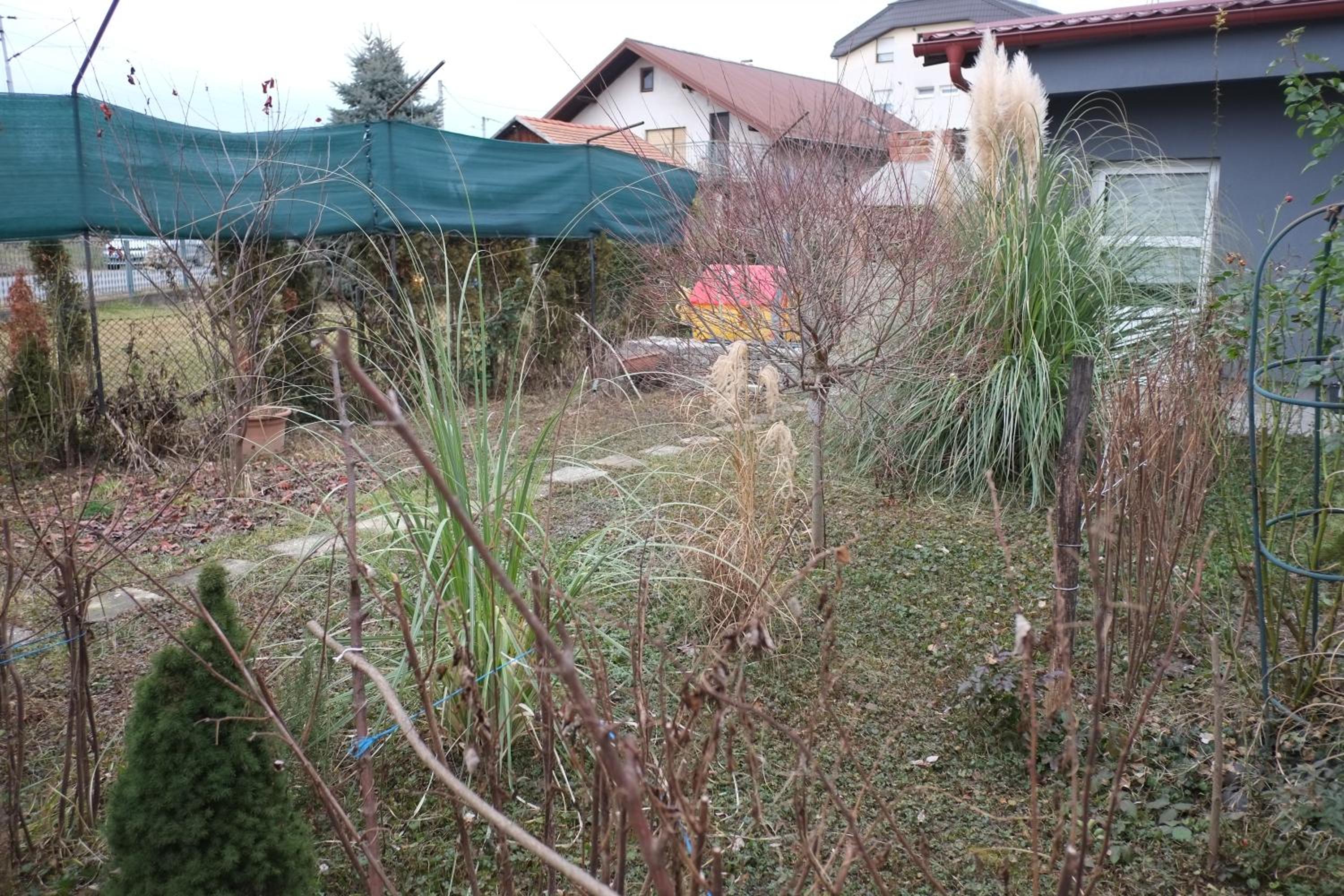 Photo 27