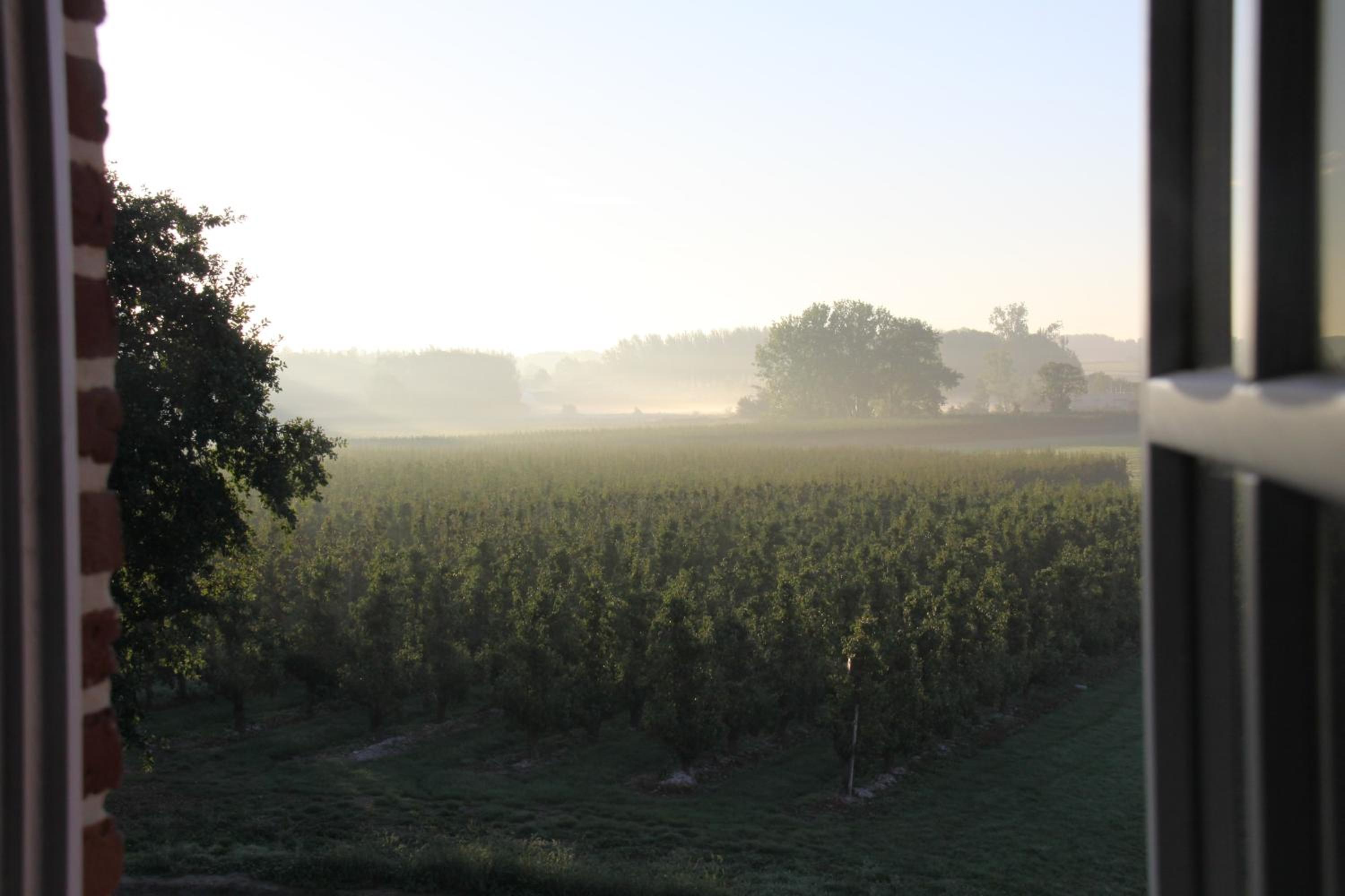 Hoeve Luitenant Halleux