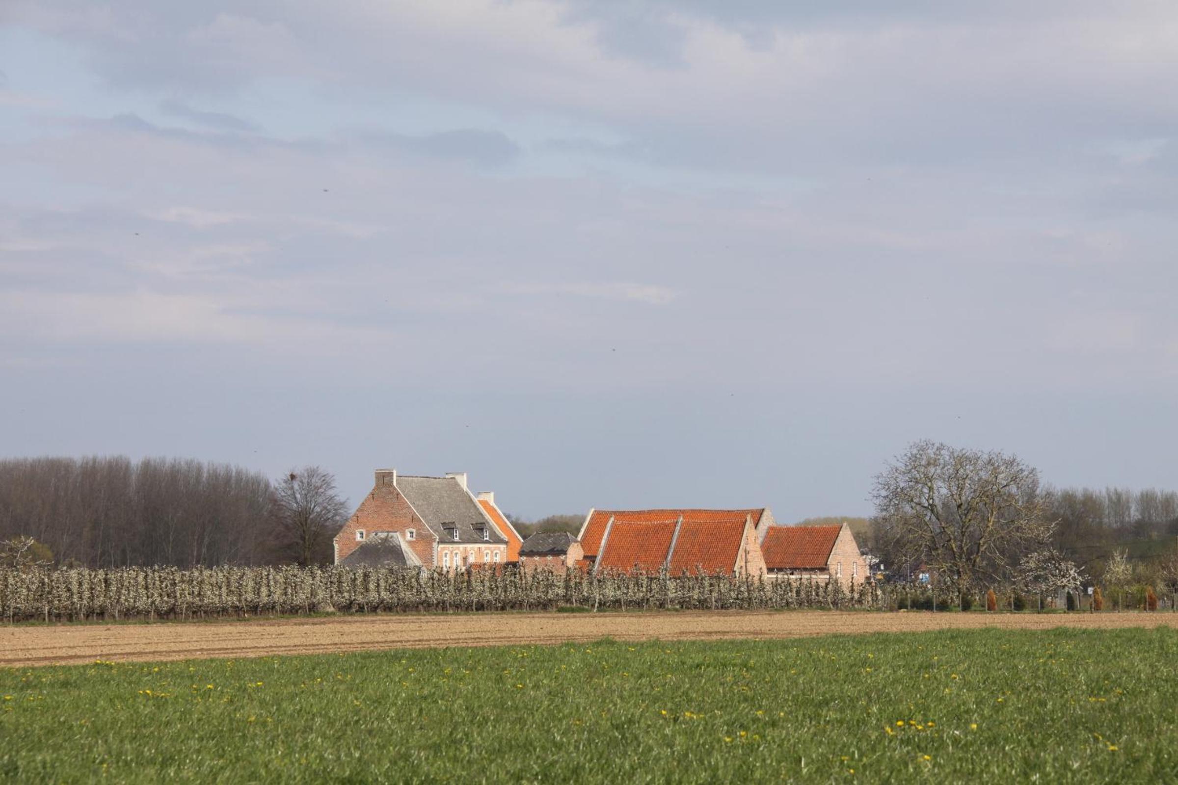Hoeve Luitenant Halleux