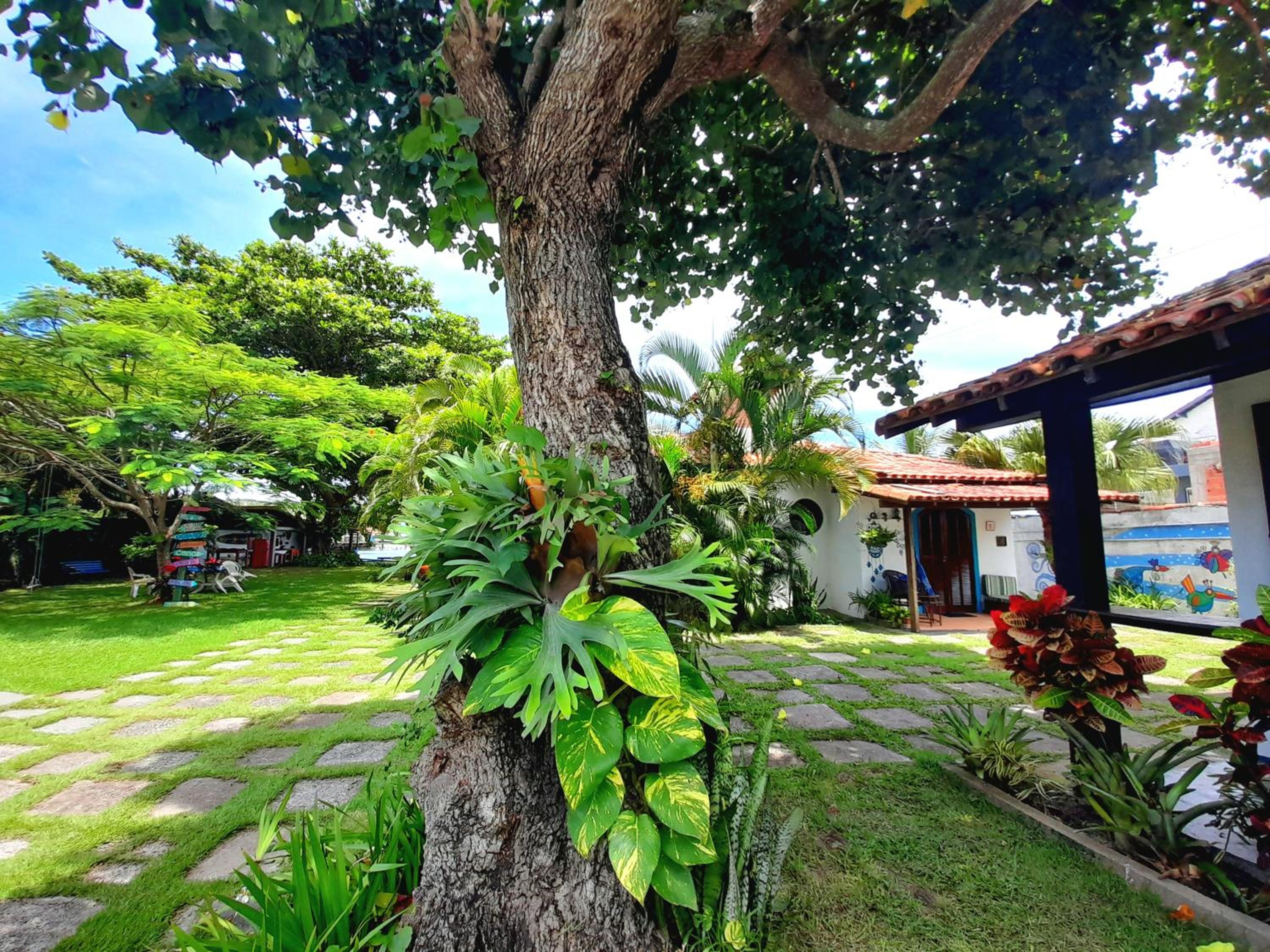 De Boa na Lagoa Cabo Frio, Praias Peró, Conchas e Ilha do Japonês