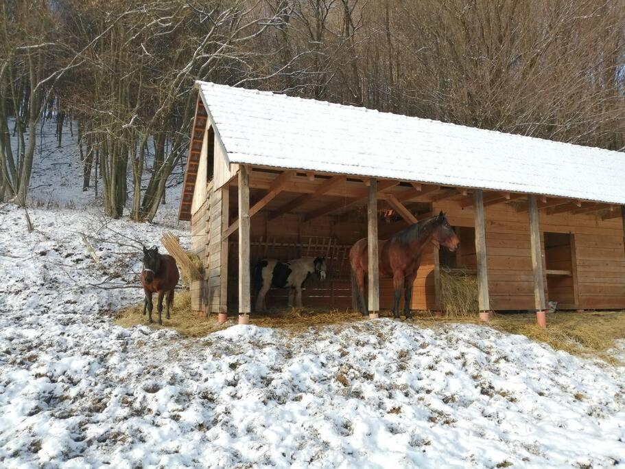 Oddychový pobyt na rodinnej farme view 2