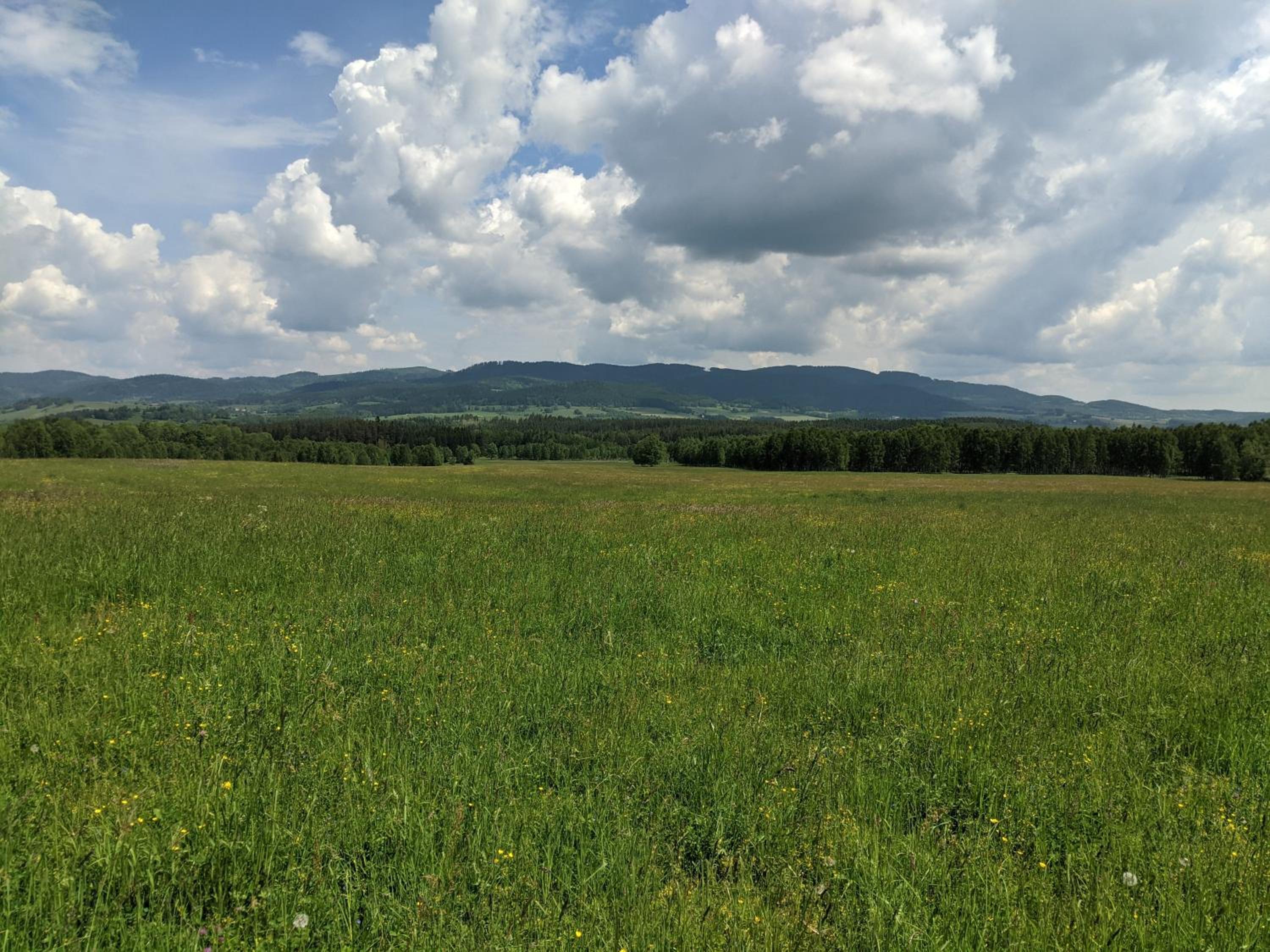 Apartmán D5 Nová Pec
