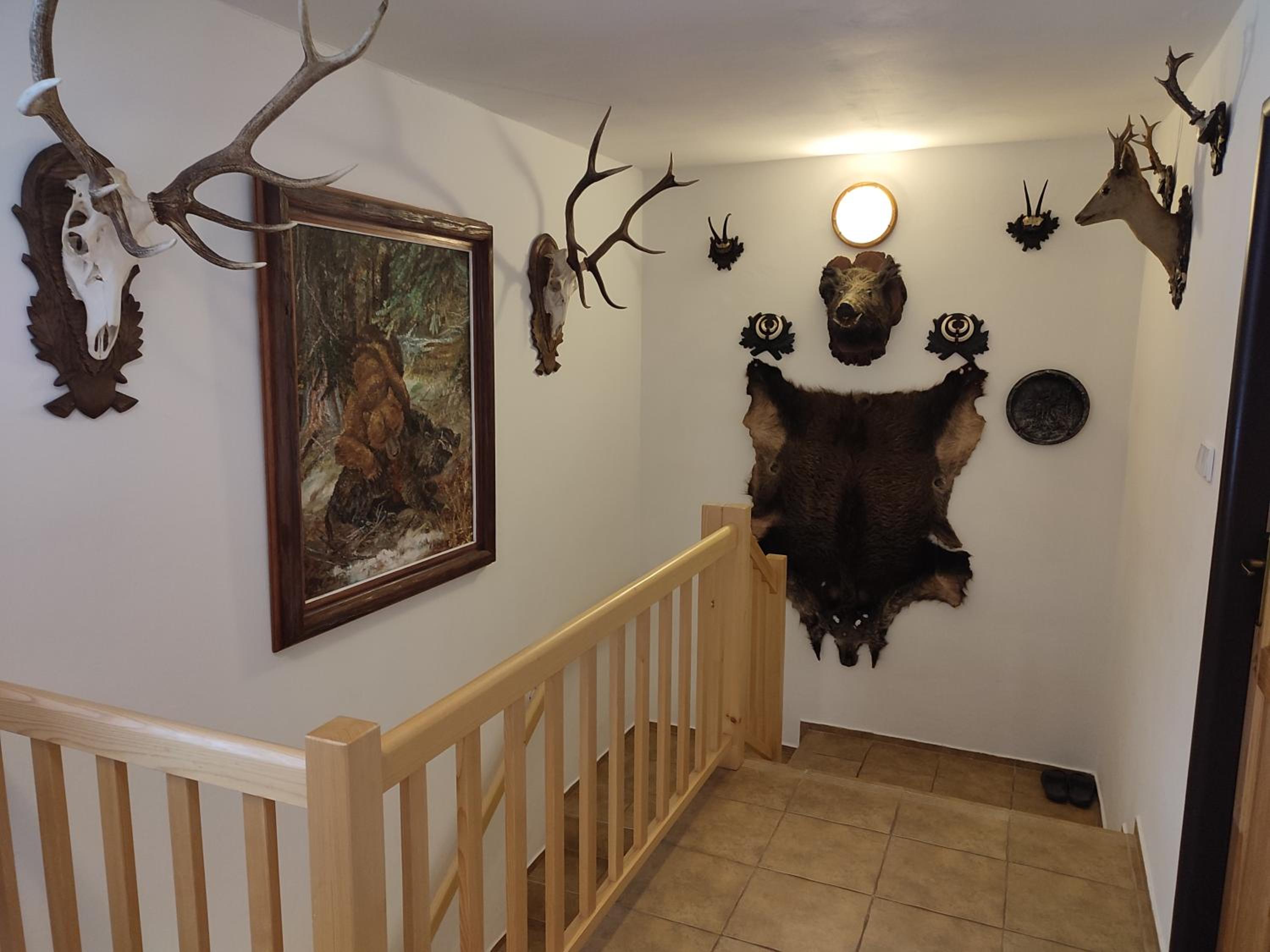 Apartmány Hájenka
