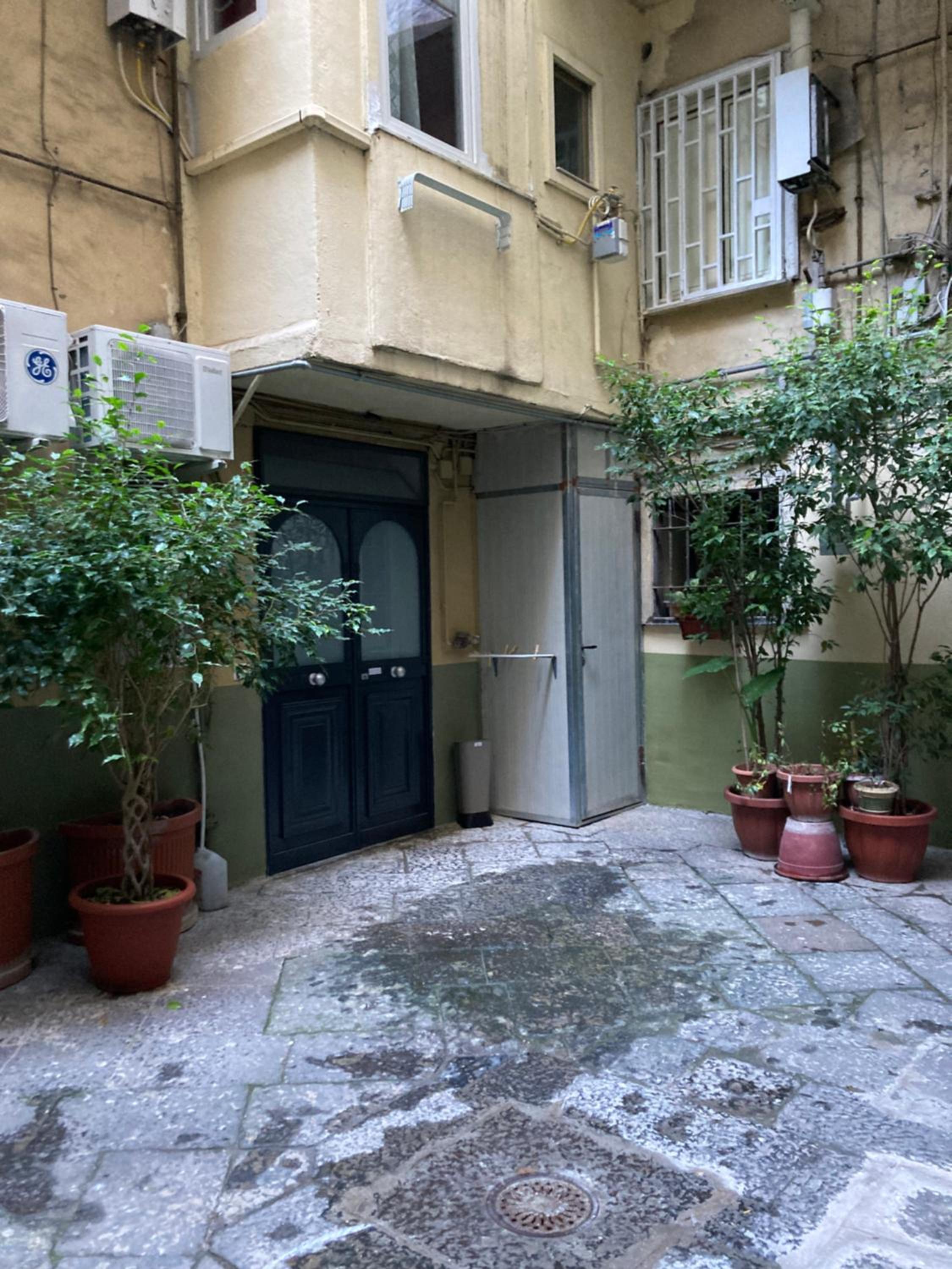 Zuccarella ''Zuccherino''nel cortile