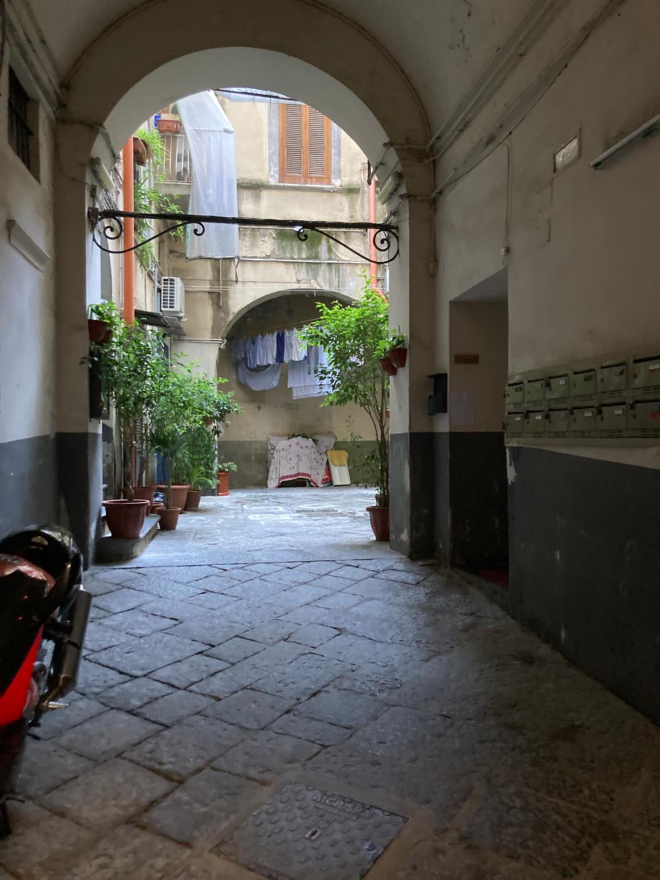 Zuccarella ''Zuccherino''nel cortile