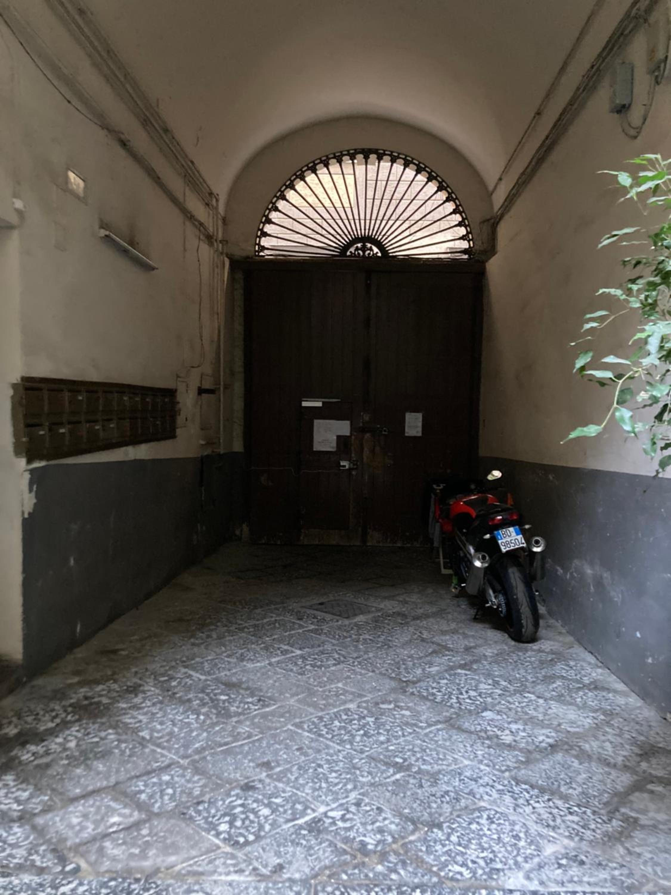 Zuccarella ''Zuccherino''nel cortile