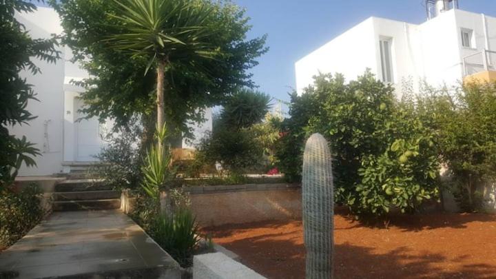 EPISTIMI 3 Bedroom Holiday House