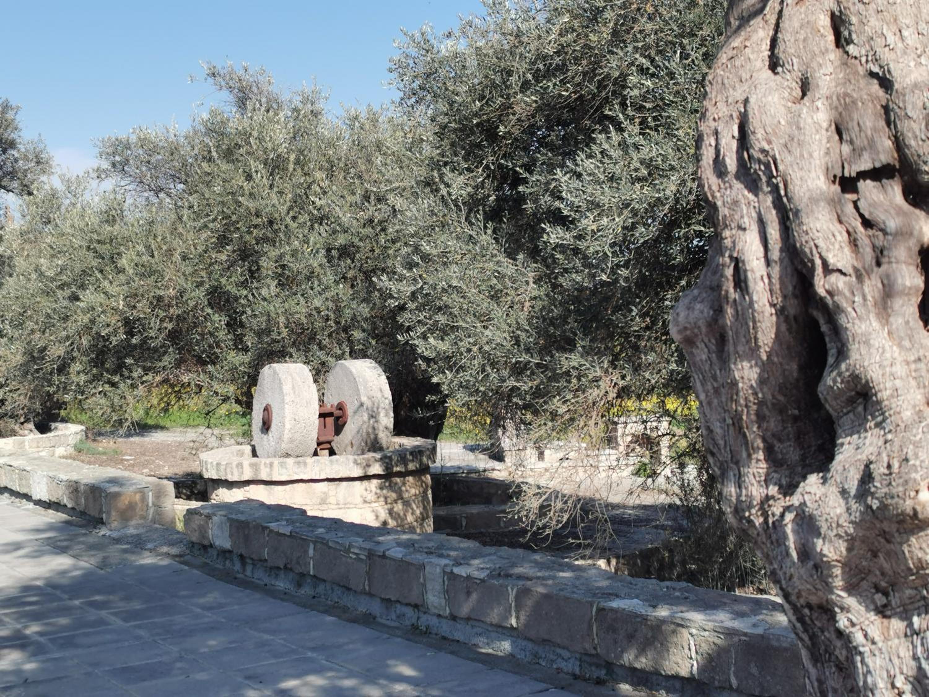 Rothkia's Home