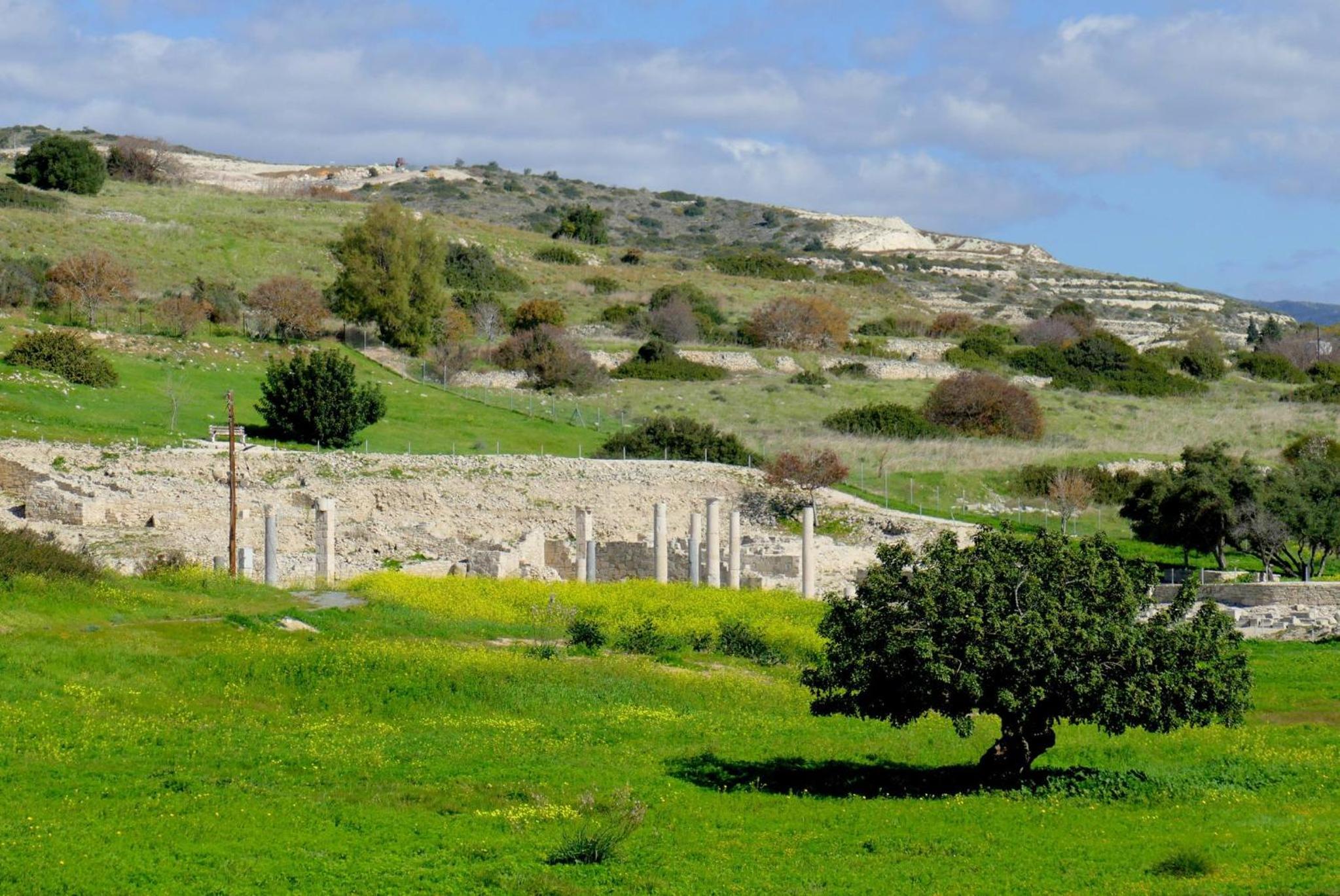 Rothkia's Home