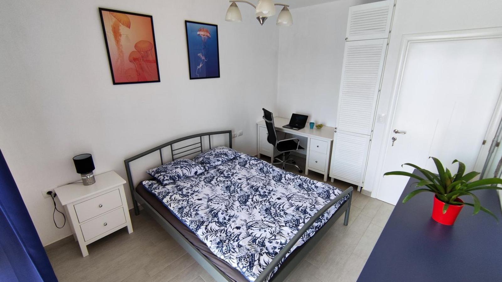 Nautilus Apartment Premium