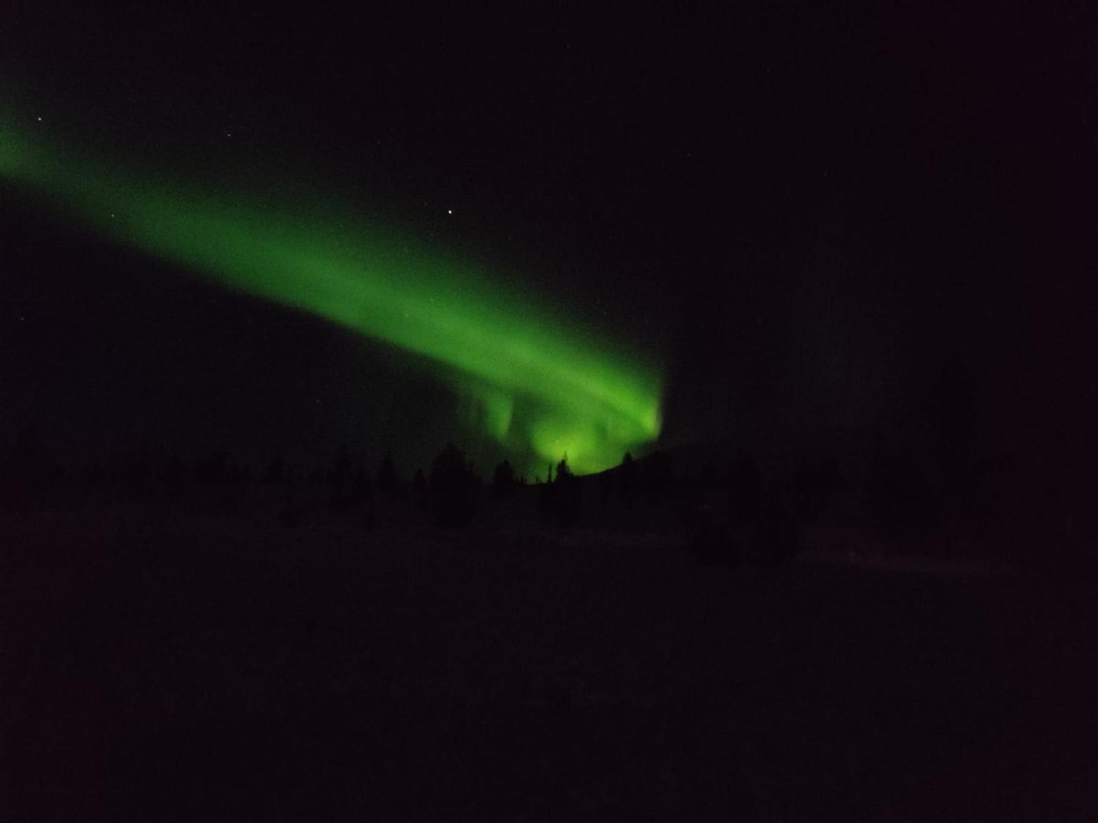 Ylläksen Metsäpirtti - Ulkoilijan koti