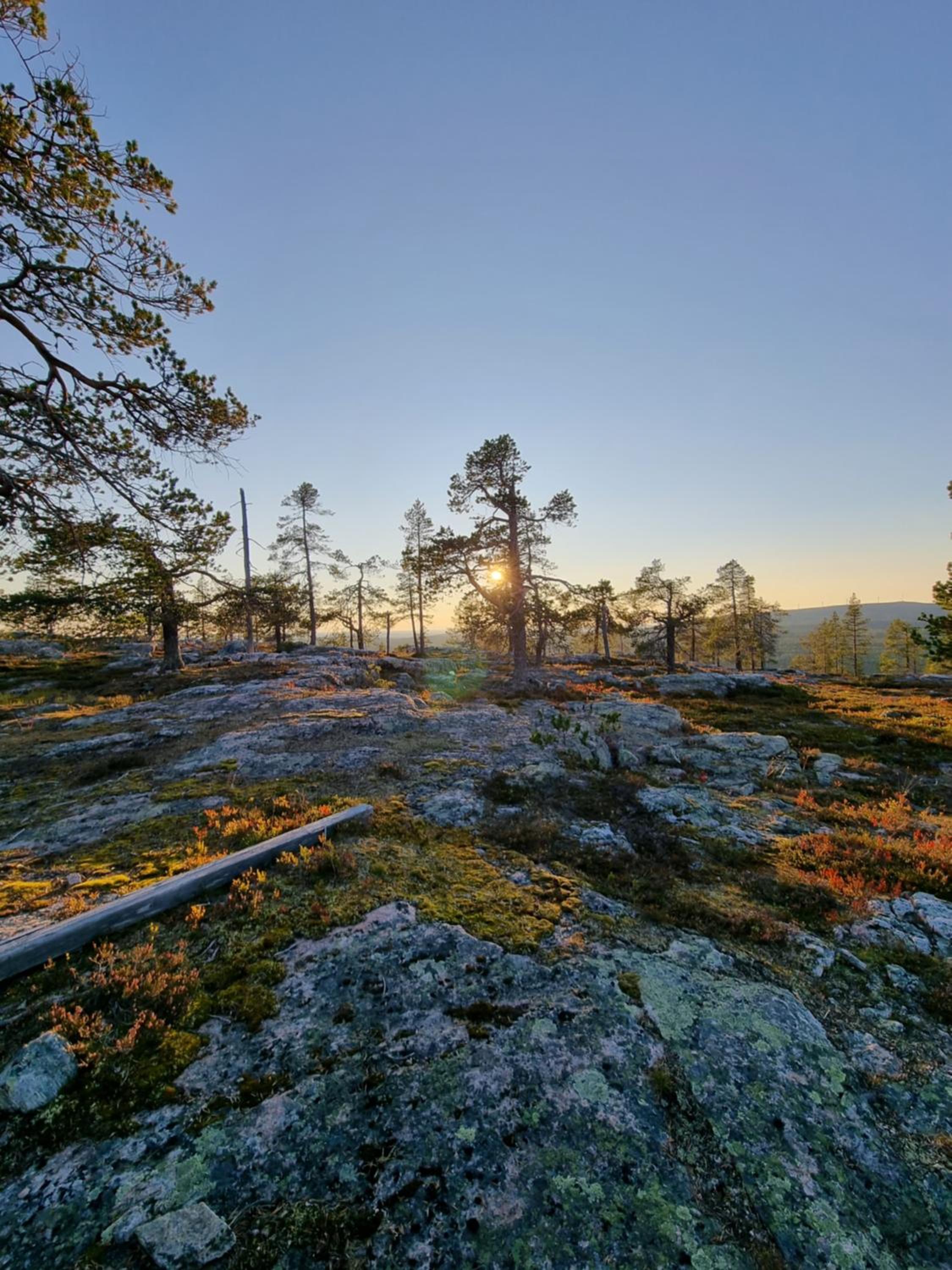 Ylläksen Metsäpirtti - Ulkoilijan koti