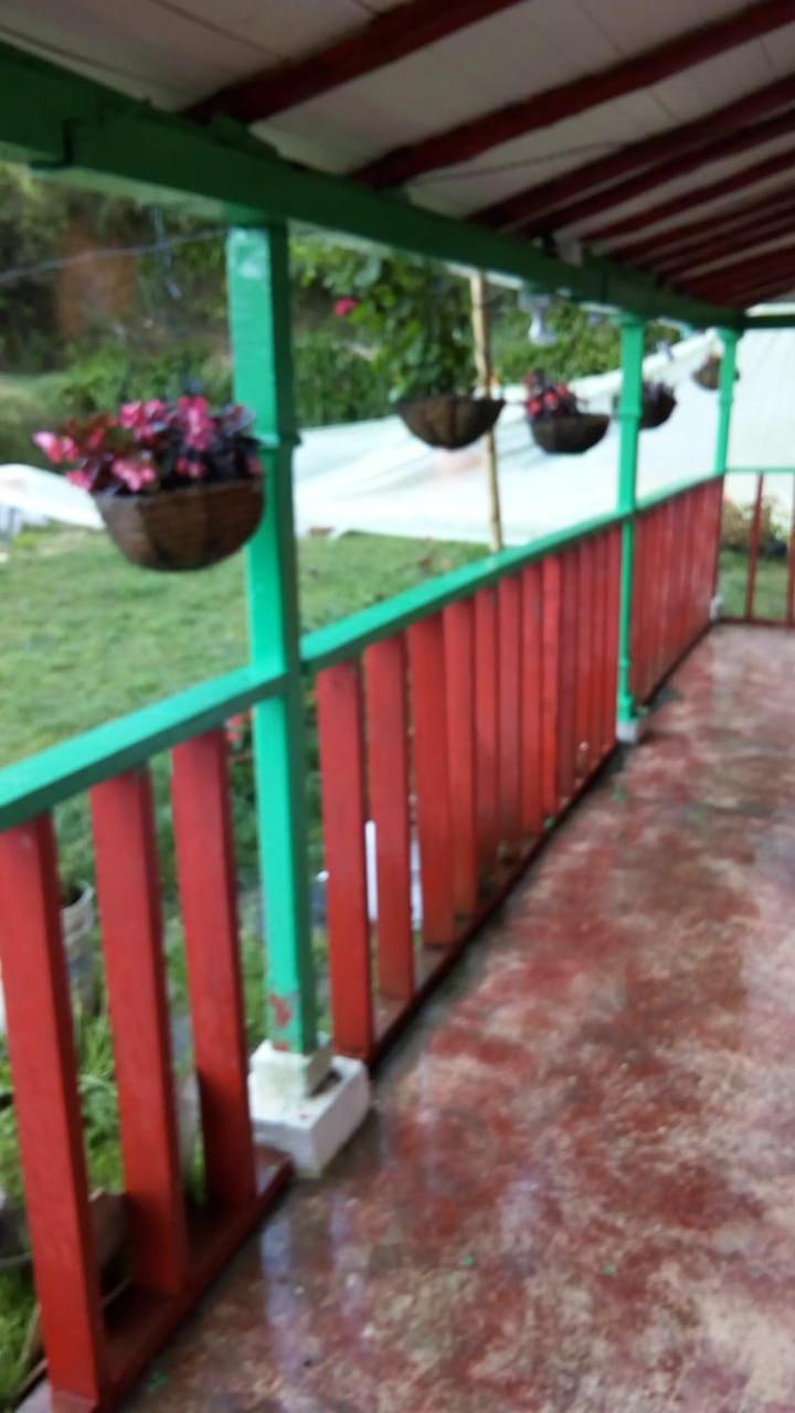 Photo 31