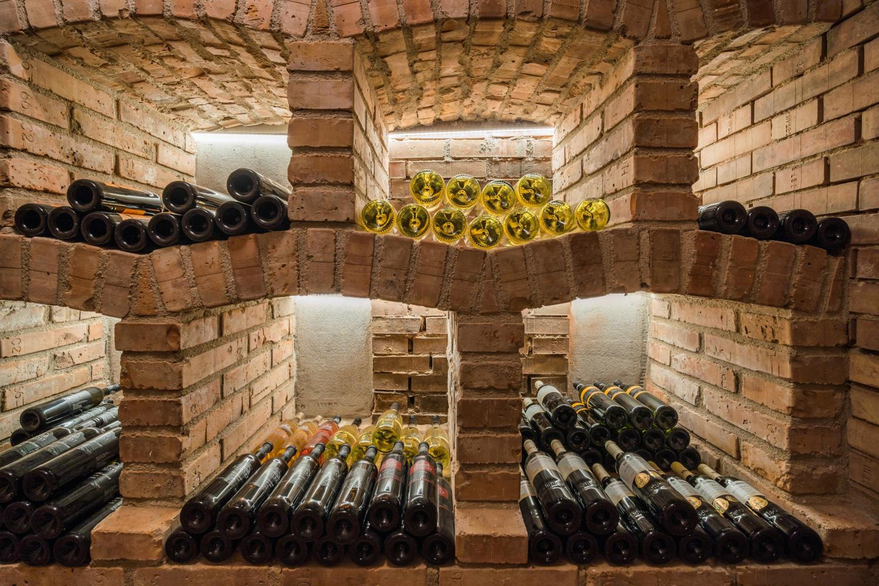Vinoza - ubytování a vinný sklep Velké Bílovice Rulandová