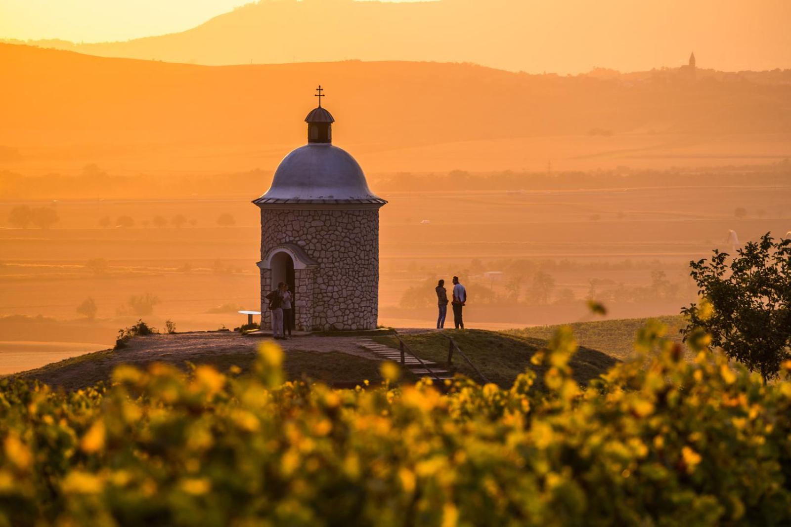 Vinoza - ubytování a vinný sklep Velké Bílovice Rulandová