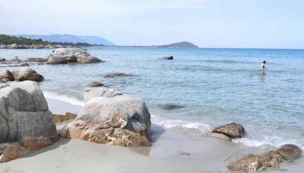 Photo 154