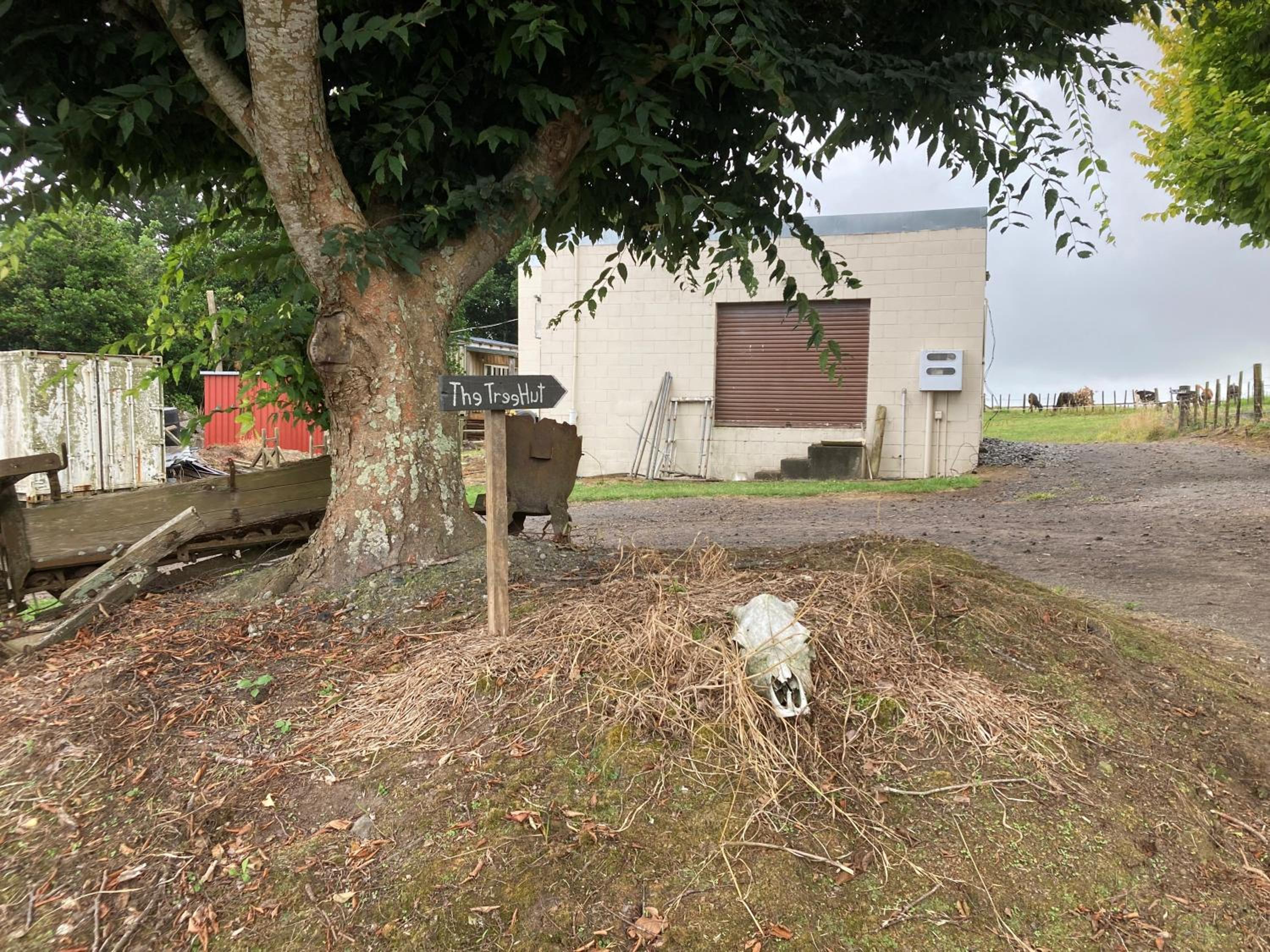 Photo 8