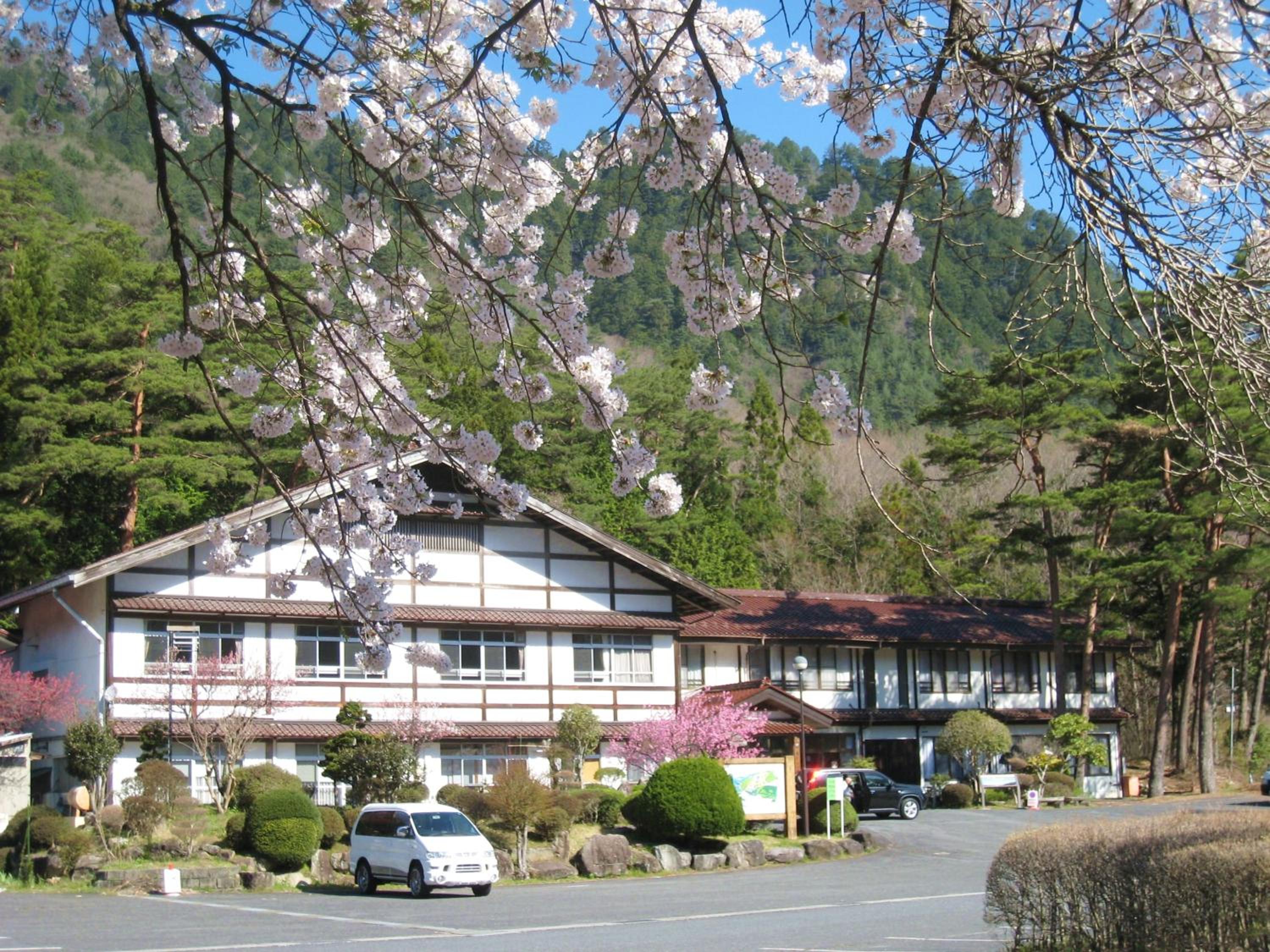 Photo 11