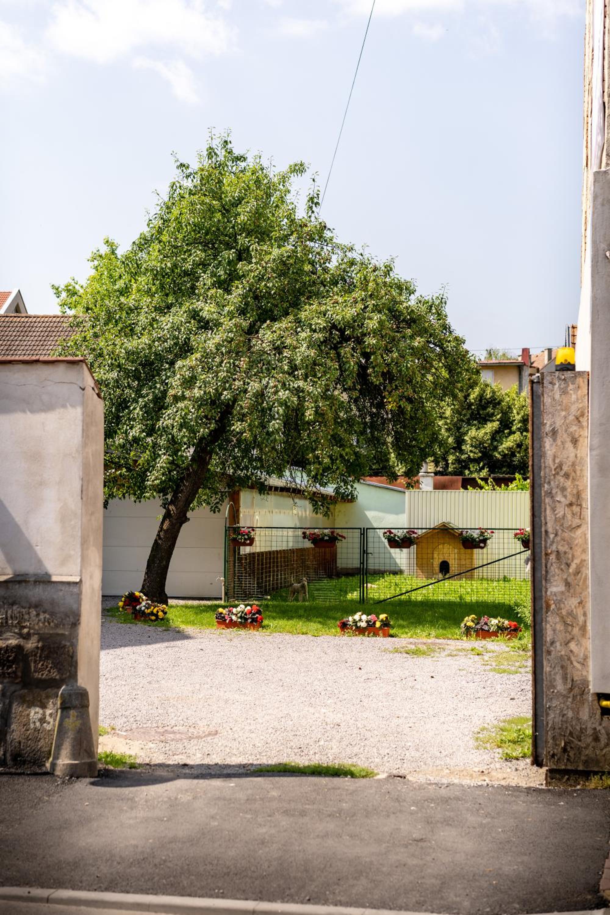 Photo 45