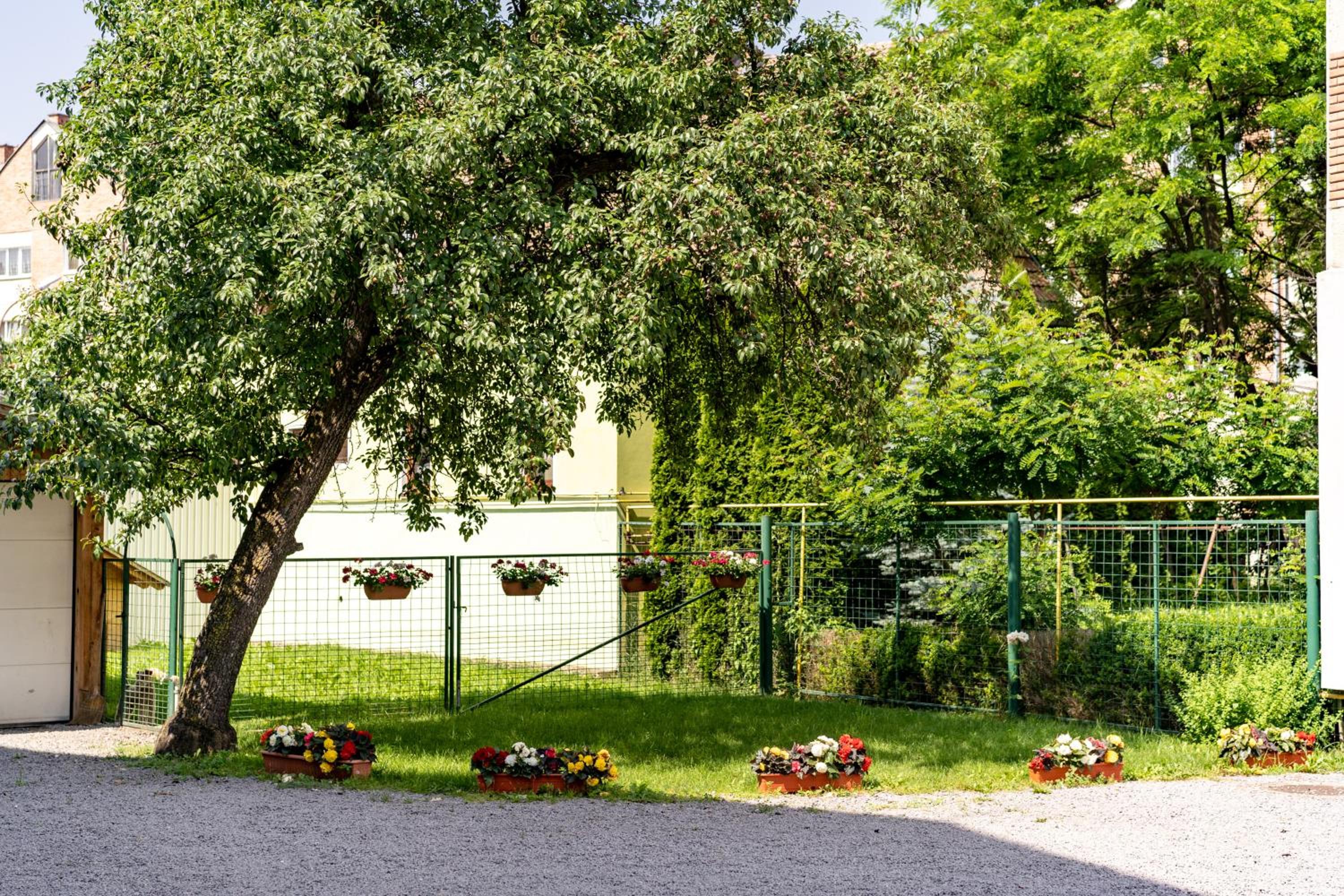Photo 48