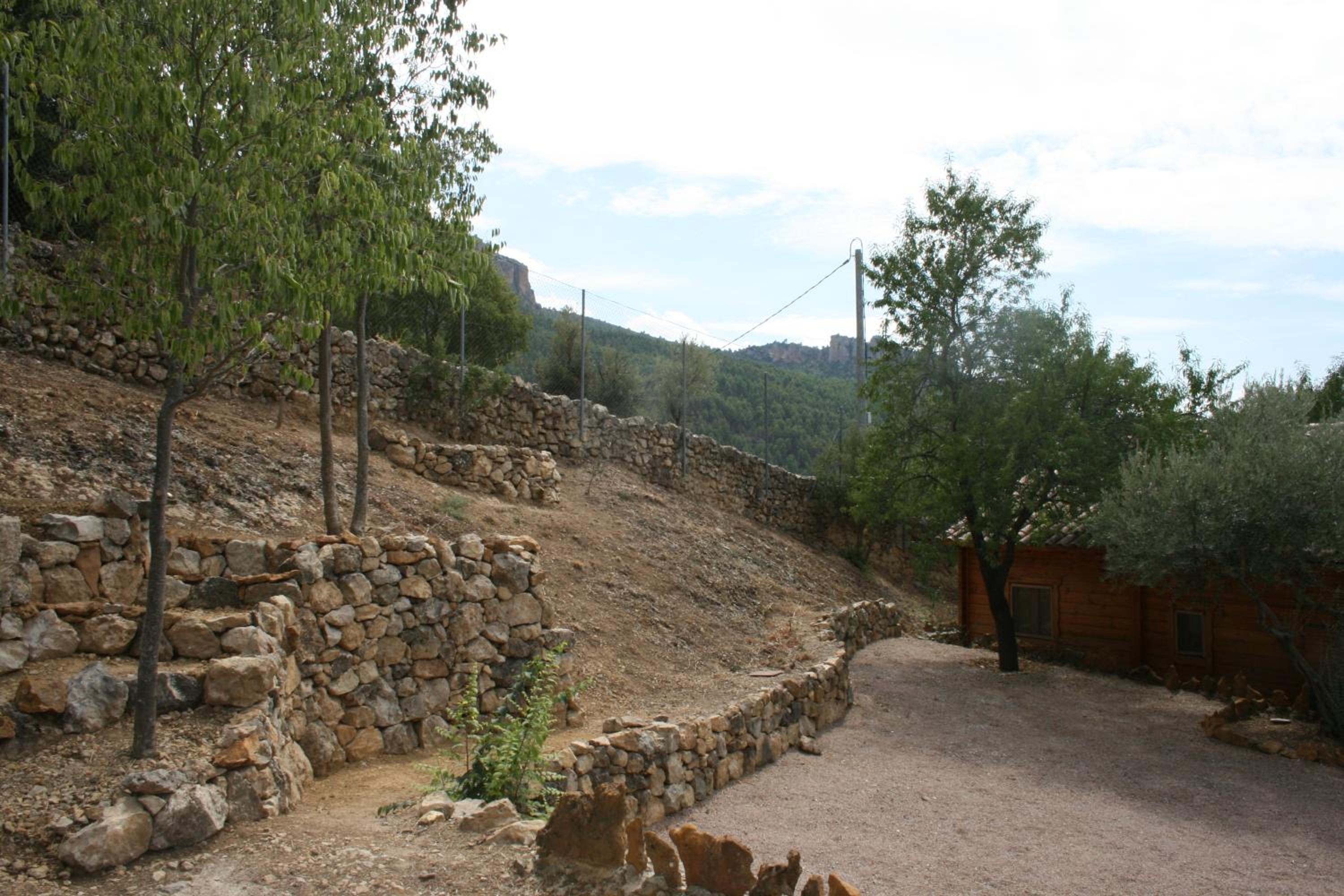 Photo 26