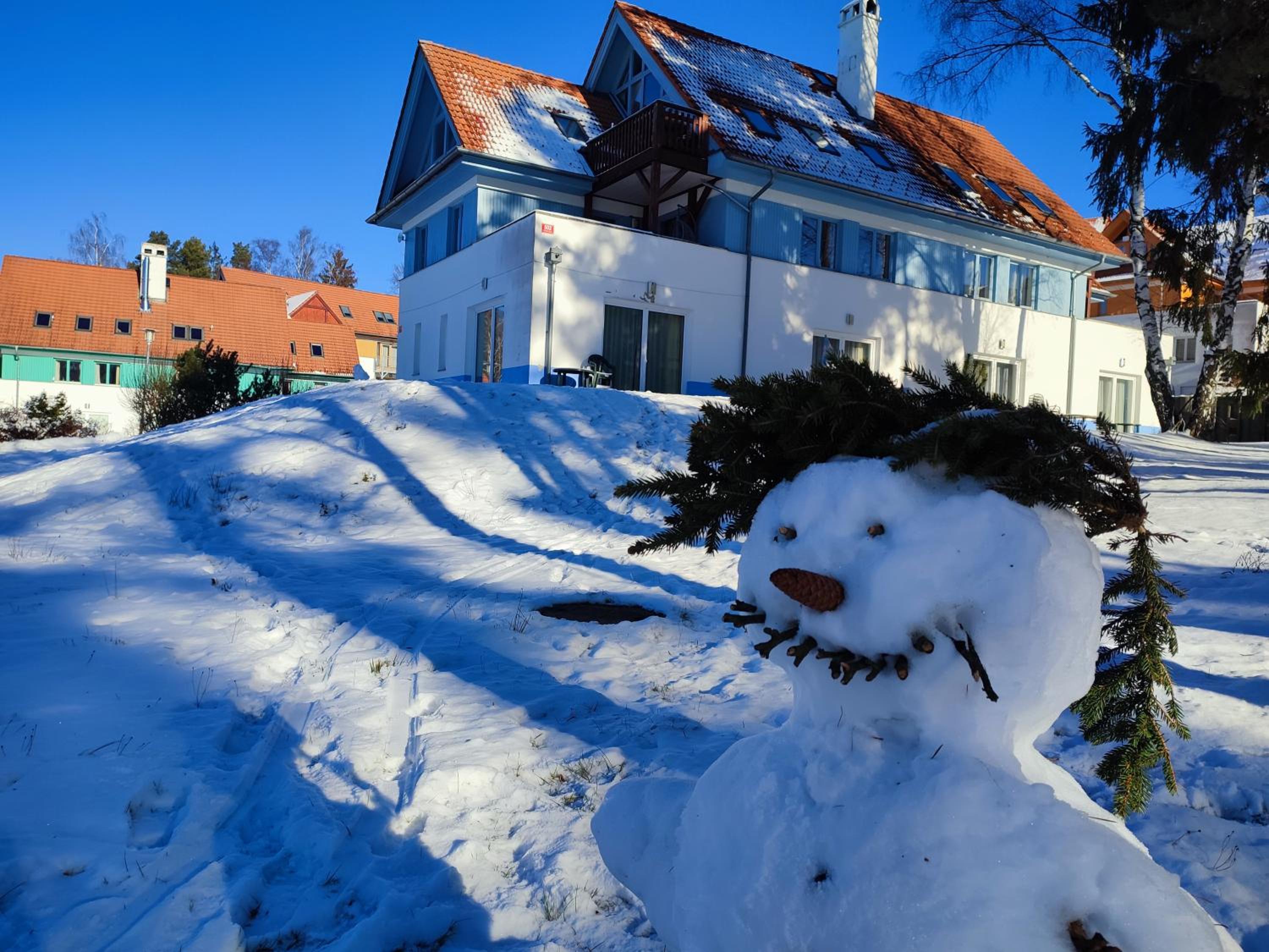 Bakarloko Lipno Apartments