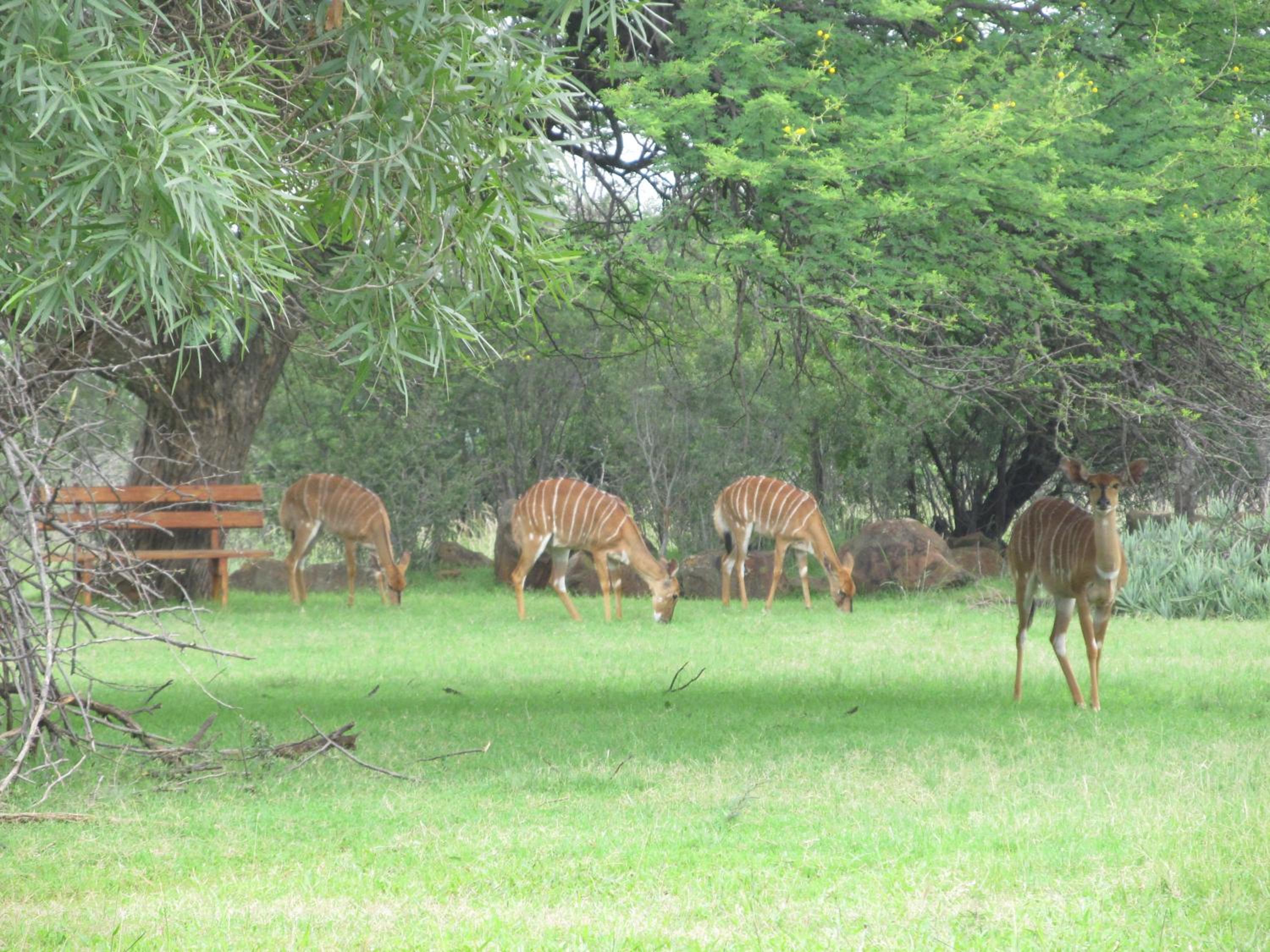 Boubou Bed and Breakfast